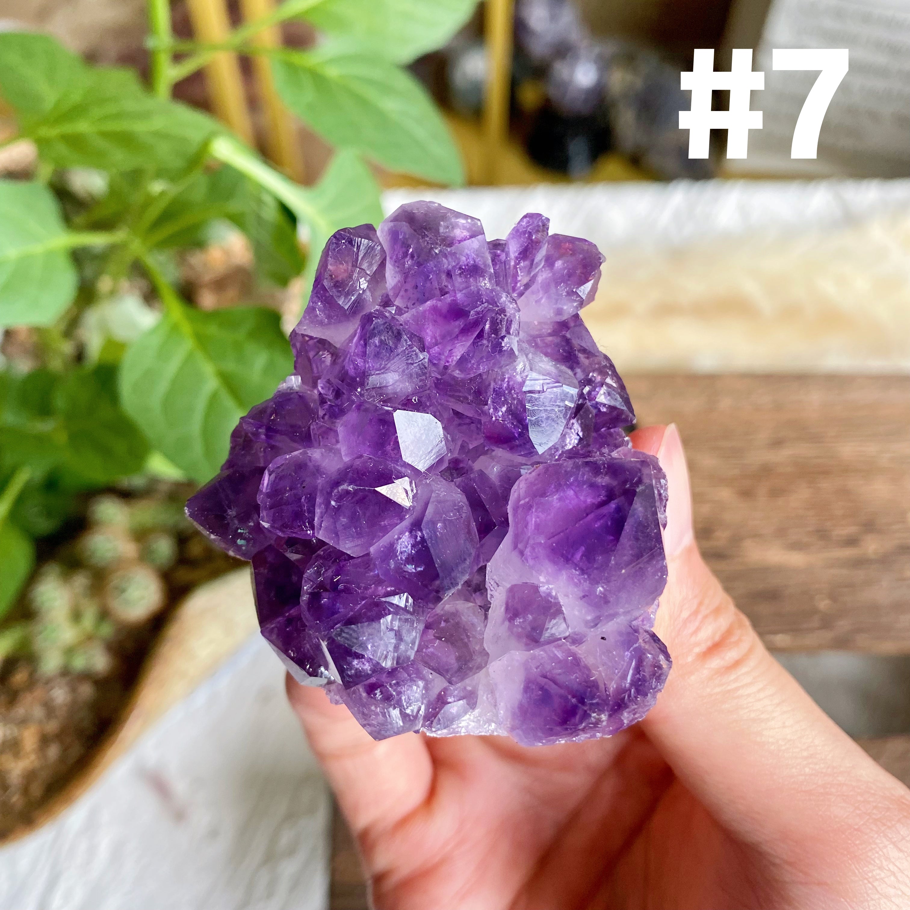 【Weekly Flash Deals】Amethyst Small Freeform Cluster