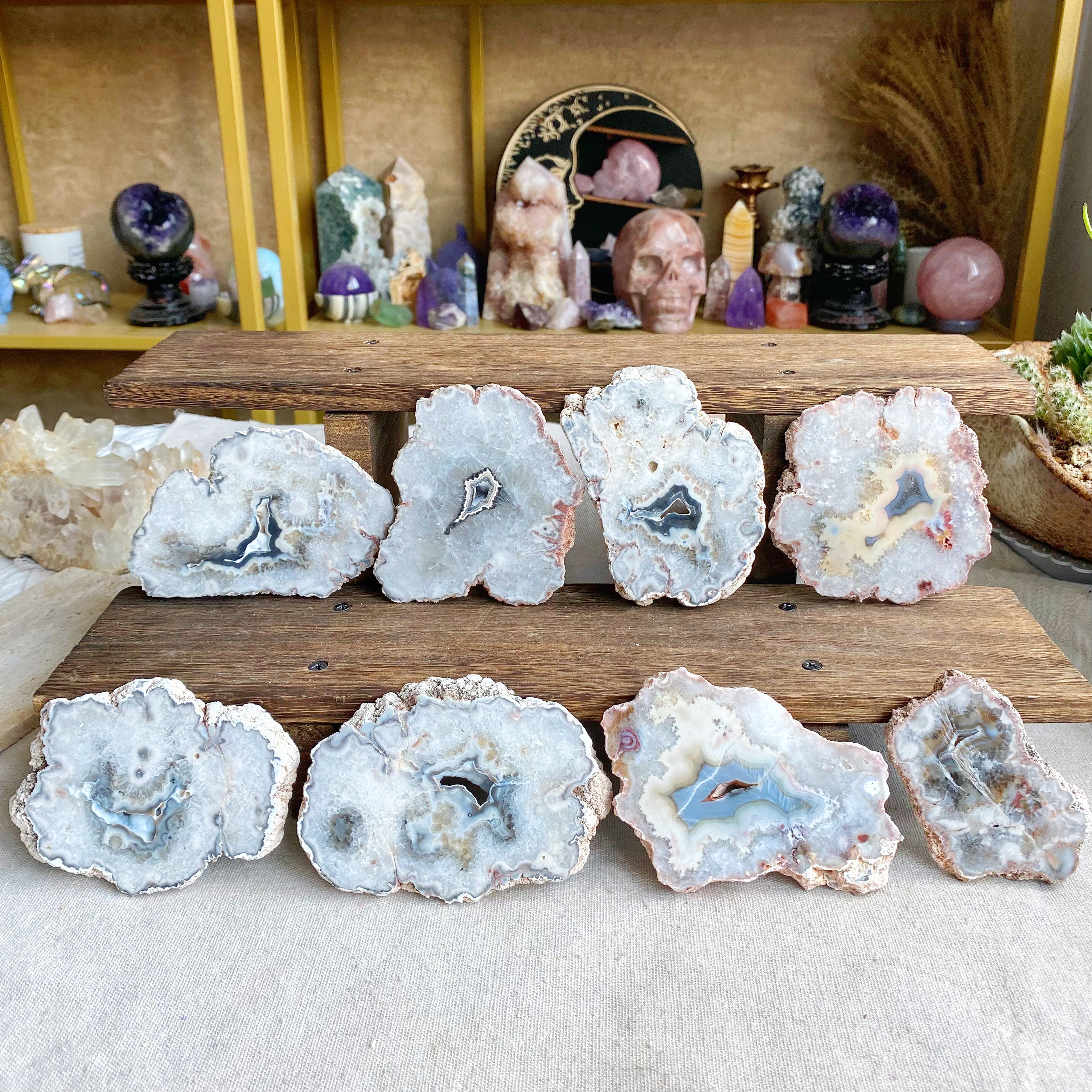 【Weekly Flash Deals】Argentina Flower Agate Slice 1