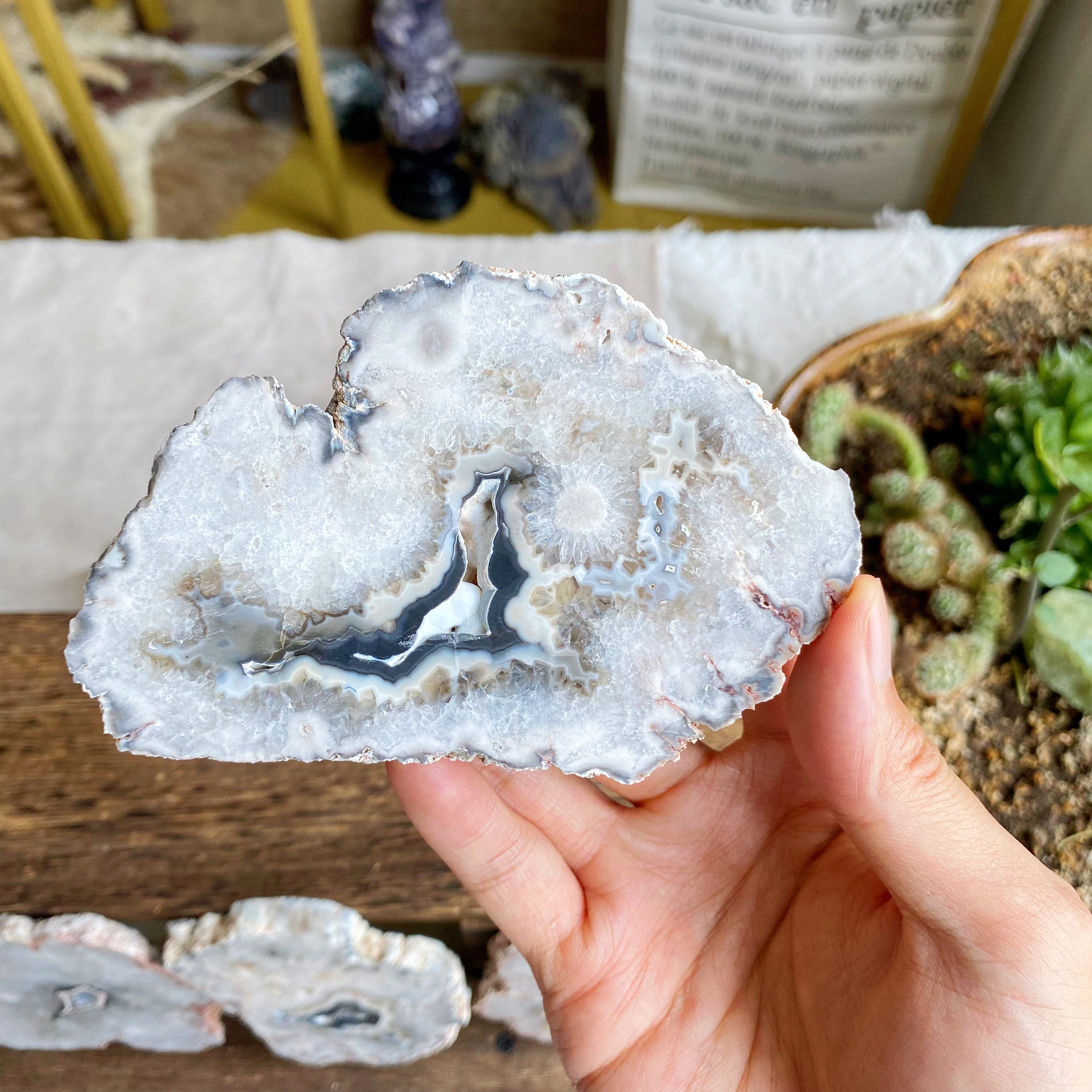 【Weekly Flash Deals】Argentina Flower Agate Slice 1