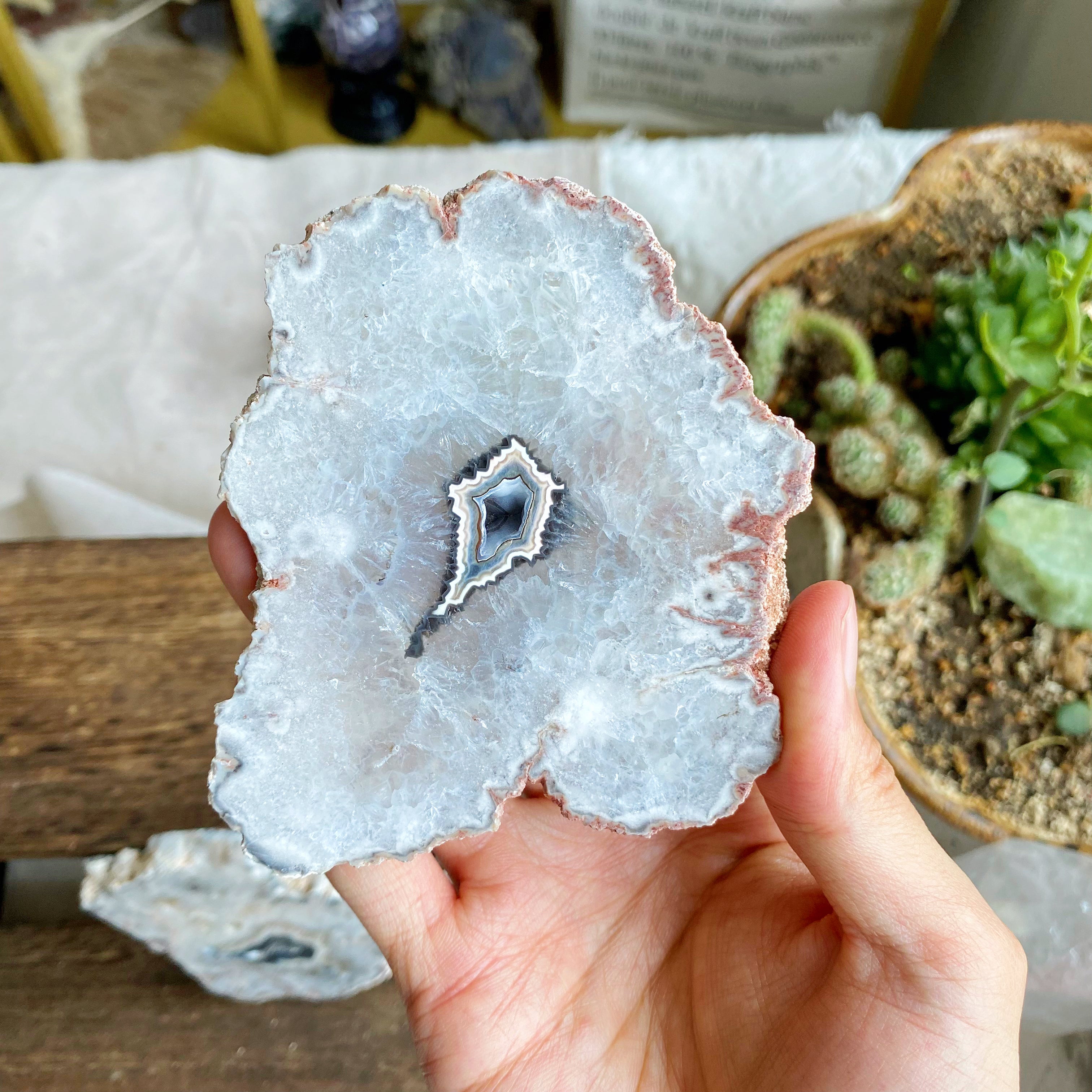 【Weekly Flash Deals】Argentina Flower Agate Slice 1