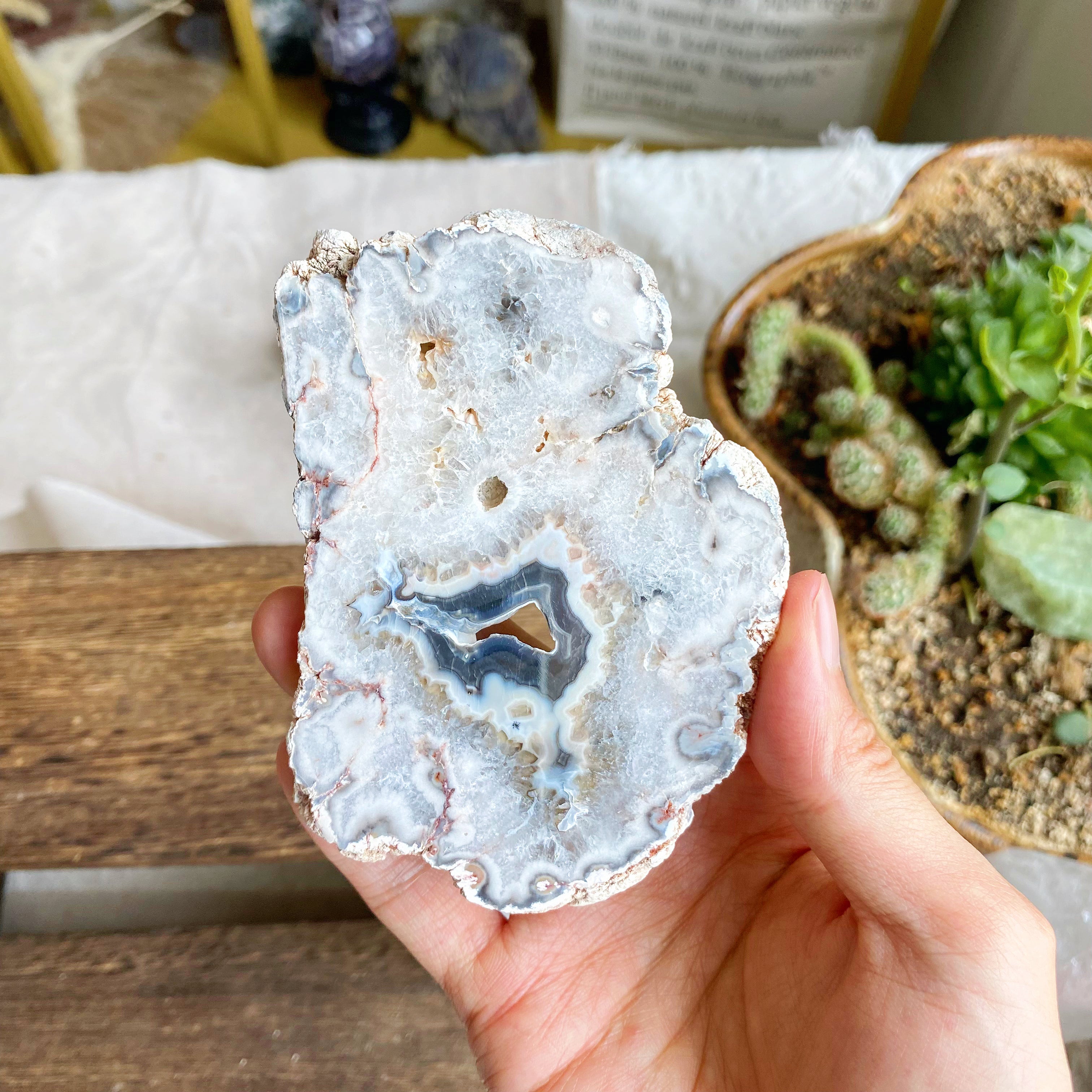 【Weekly Flash Deals】Argentina Flower Agate Slice 1