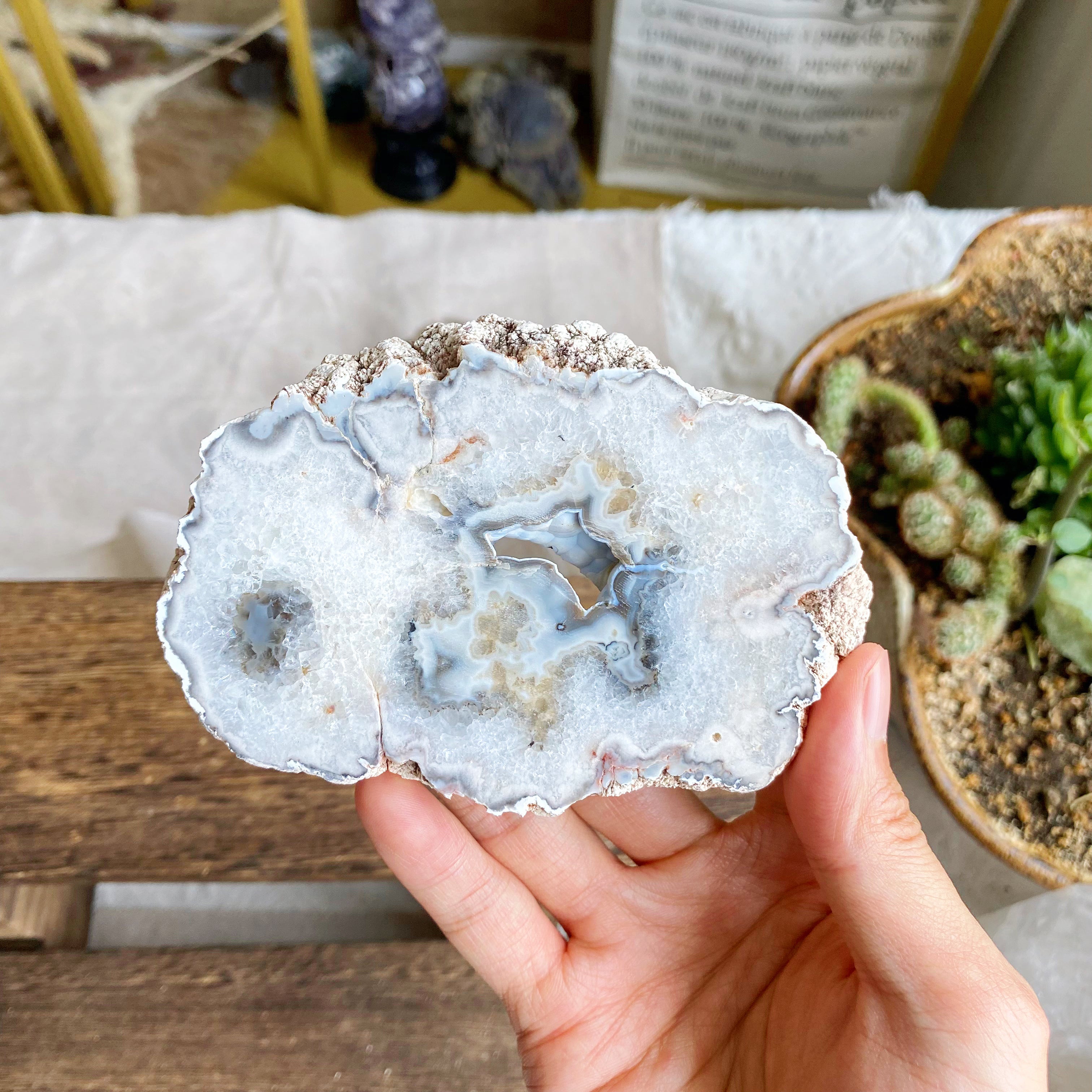 【Weekly Flash Deals】Argentina Flower Agate Slice 1