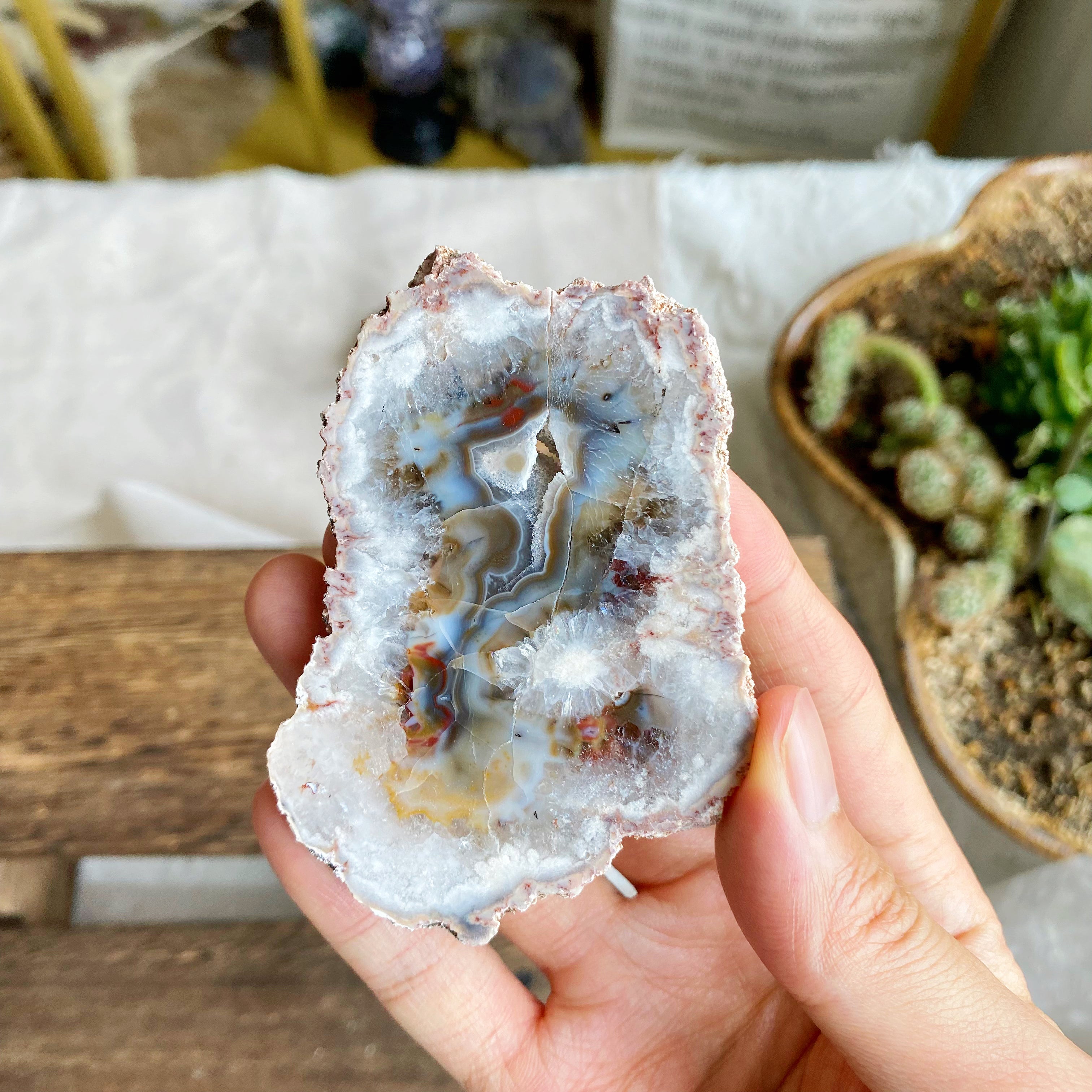 【Weekly Flash Deals】Argentina Flower Agate Slice 1