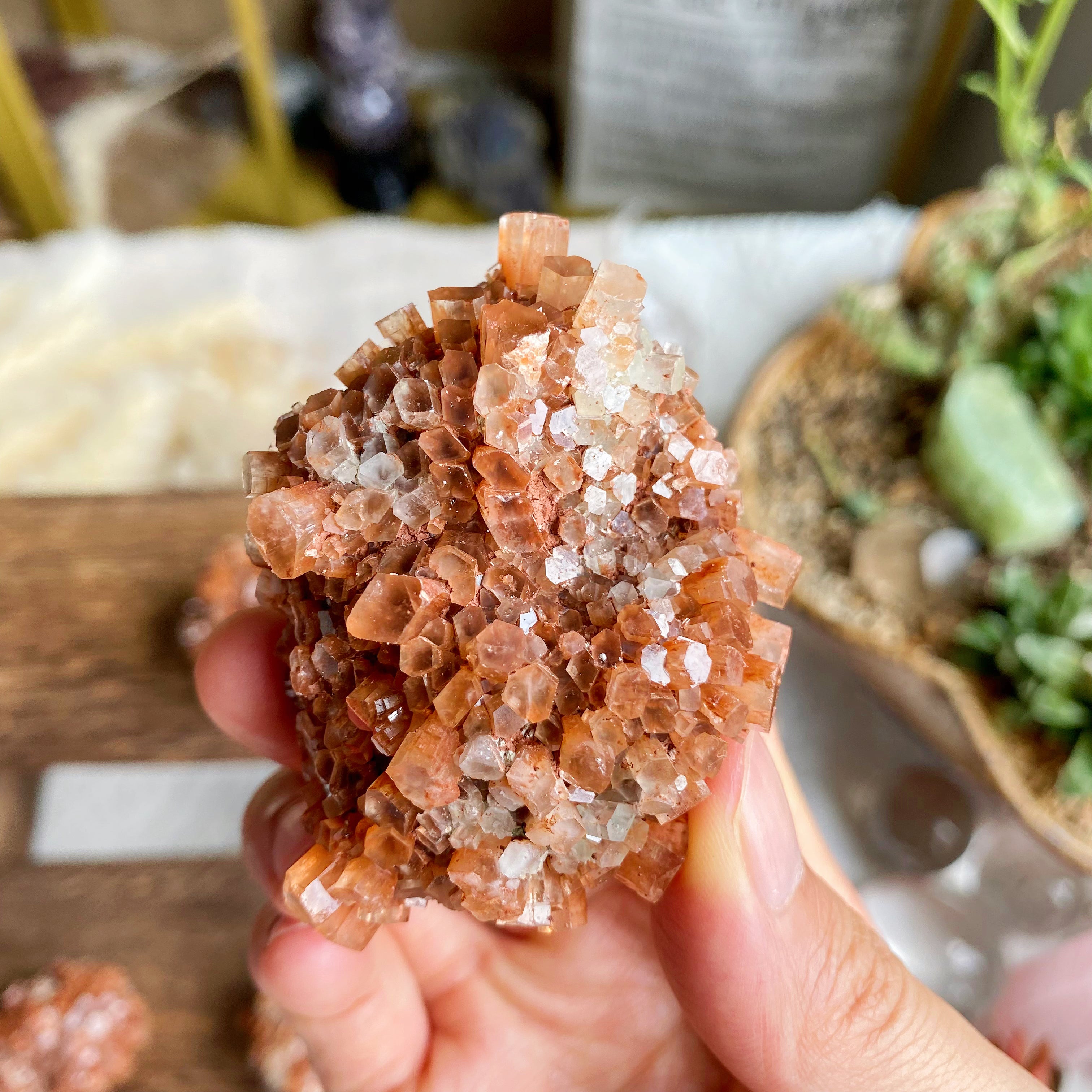 【Weekly Flash Deals】Orange Aragonite Cluster