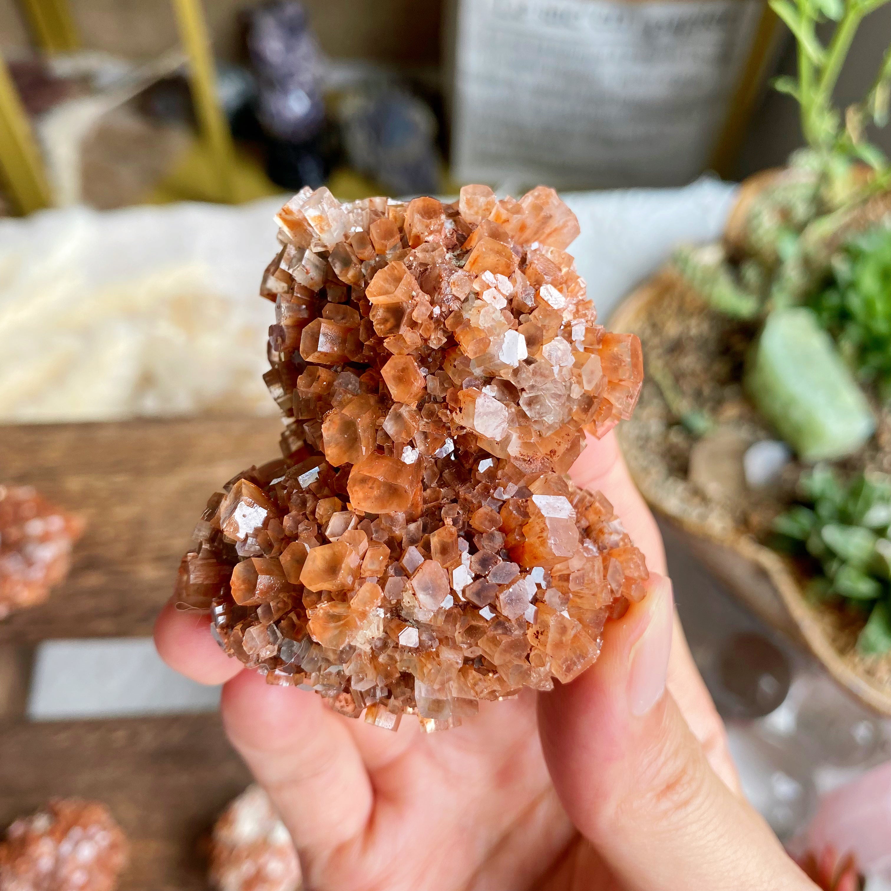 【Weekly Flash Deals】Orange Aragonite Cluster