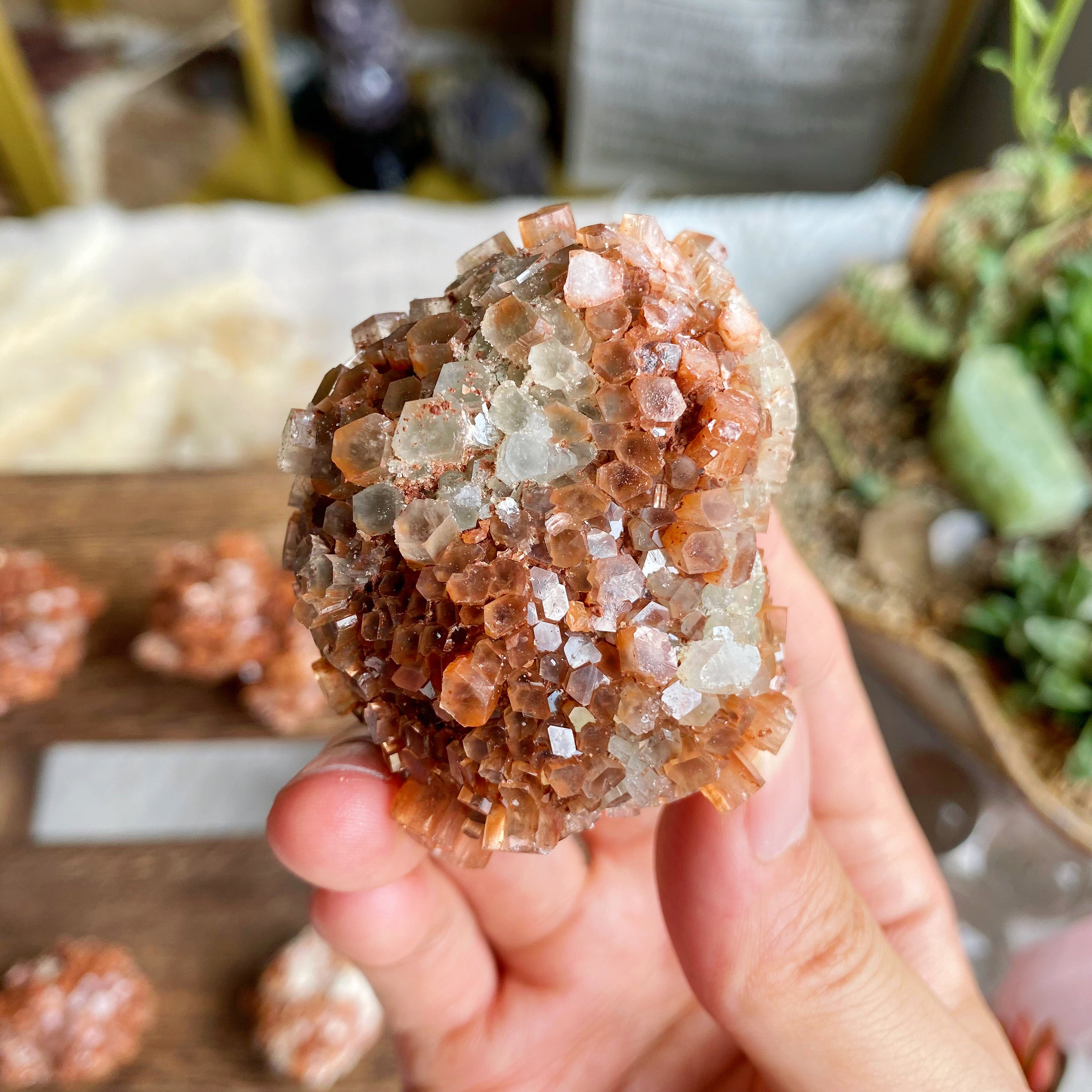 【Weekly Flash Deals】Orange Aragonite Cluster