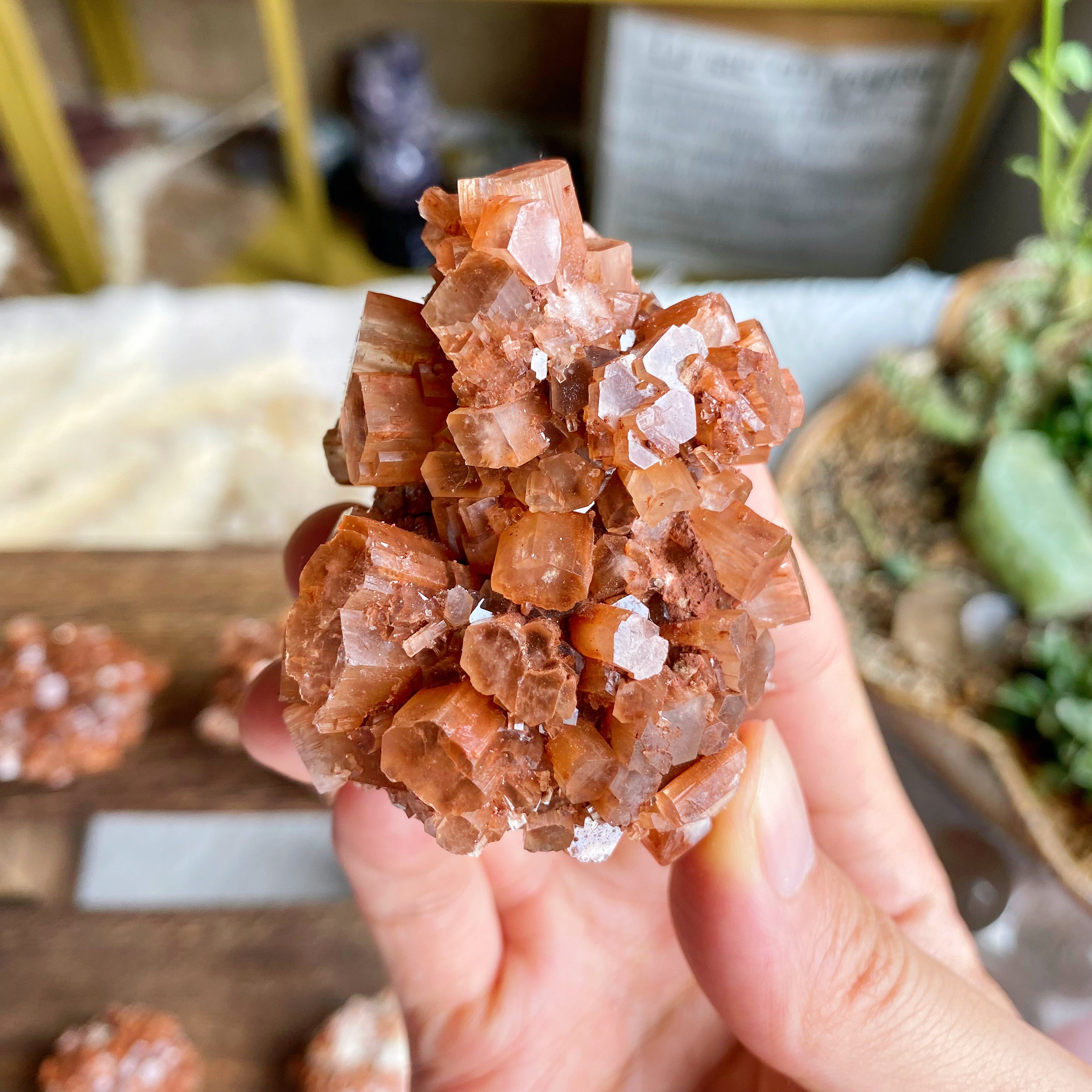 【Weekly Flash Deals】Orange Aragonite Cluster