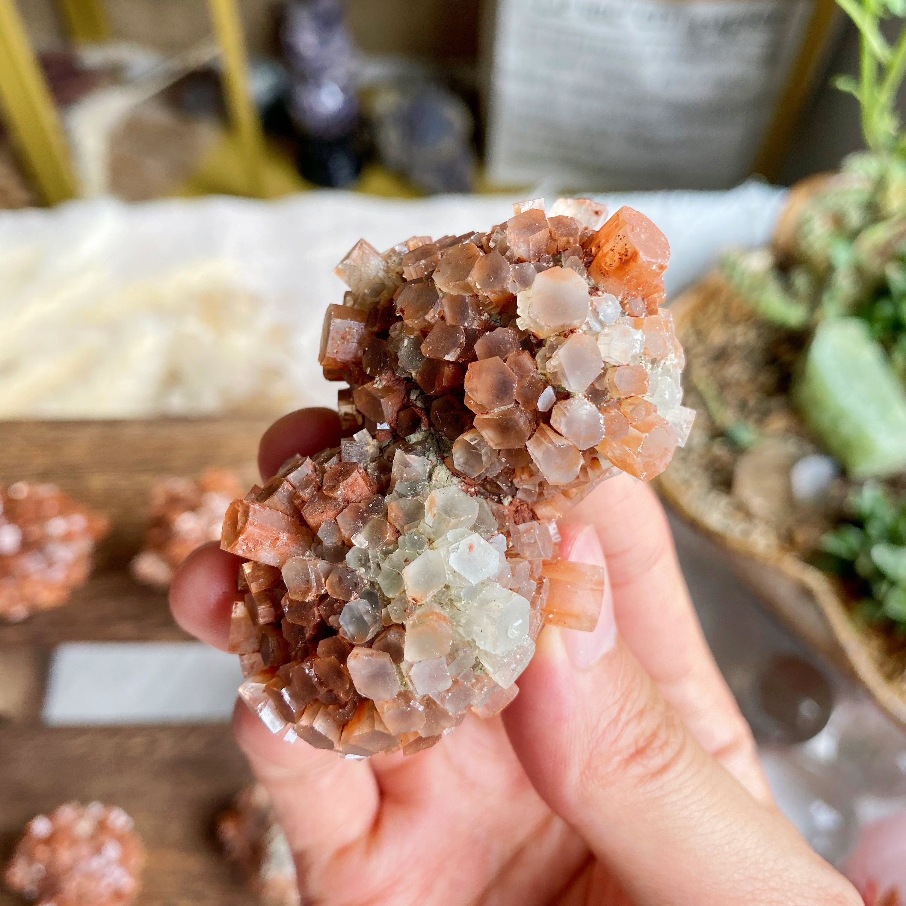 【Weekly Flash Deals】Orange Aragonite Cluster