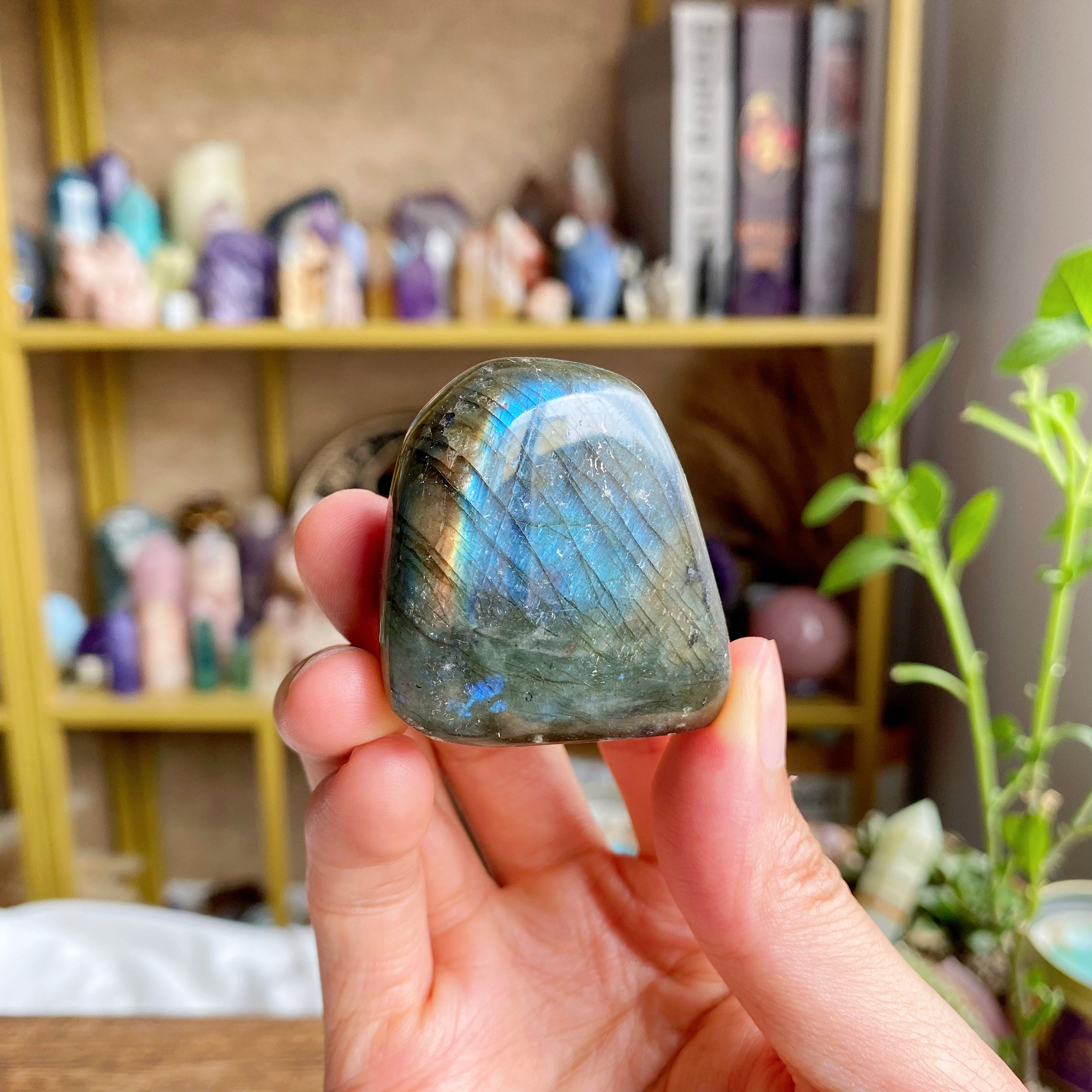 【Weekly Flash Deals】Labradorite Free Form 2