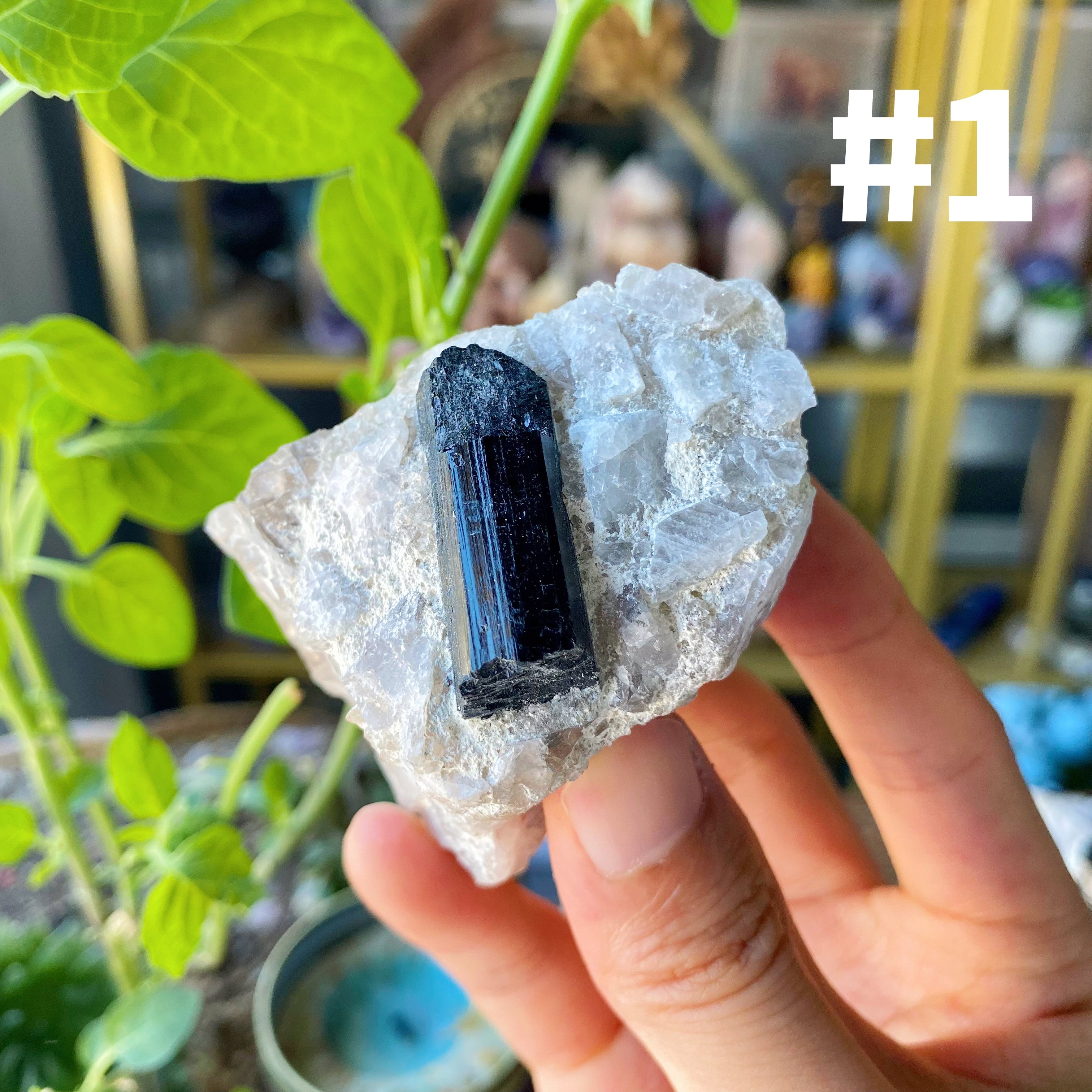 【Weekly Flash Deals】Black Tourmaline With Quartz Specimen