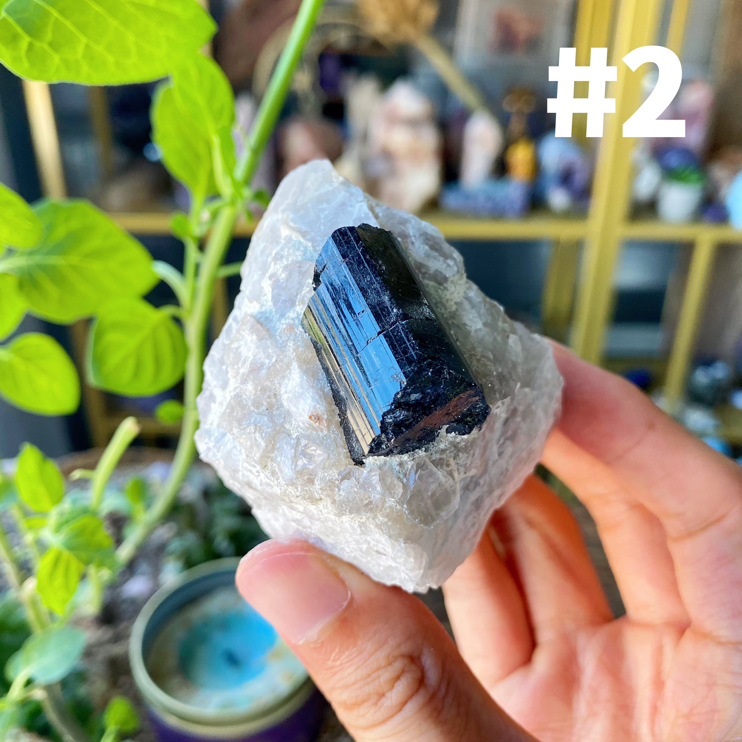 【Weekly Flash Deals】Black Tourmaline With Quartz Specimen