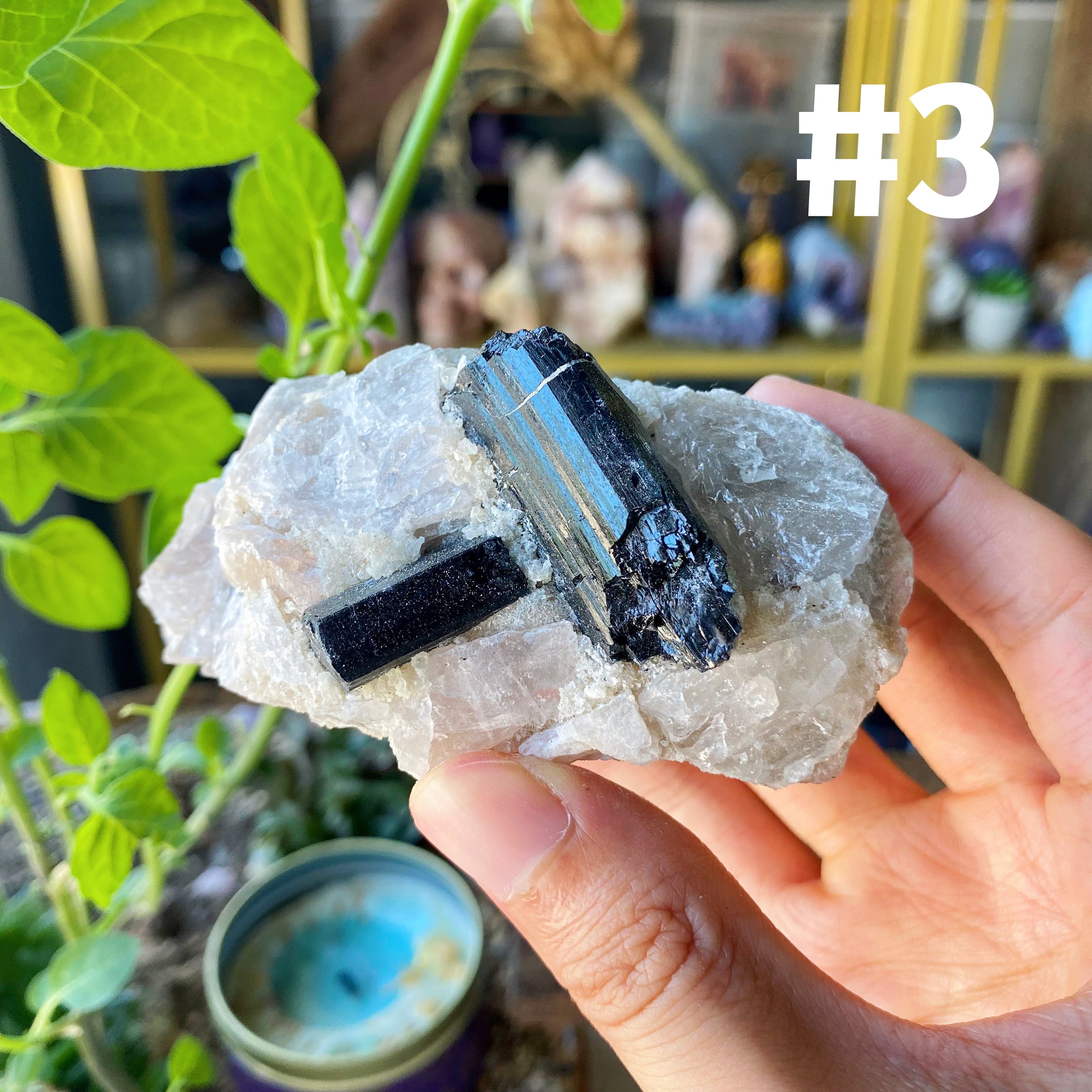 【Weekly Flash Deals】Black Tourmaline With Quartz Specimen