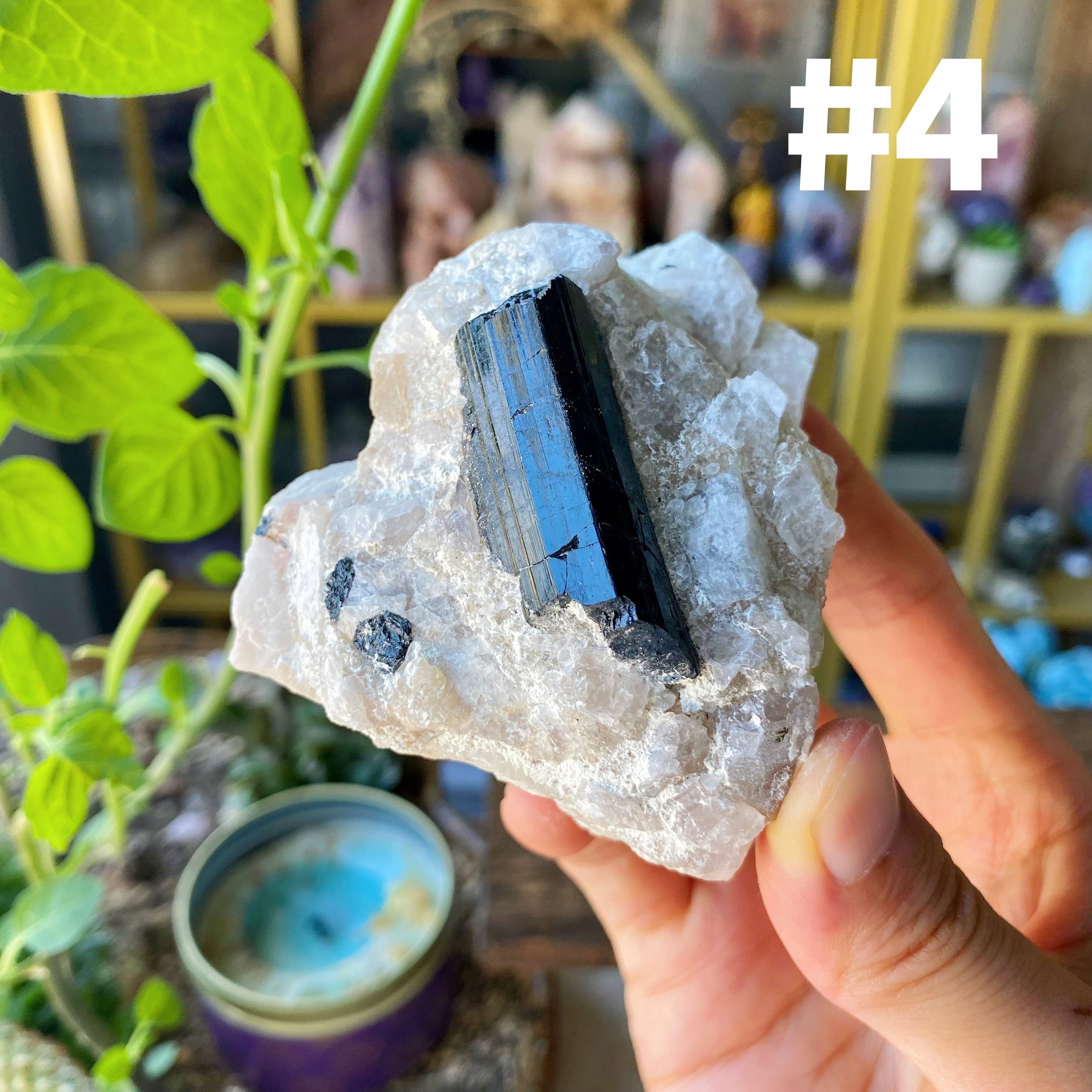 【Weekly Flash Deals】Black Tourmaline With Quartz Specimen