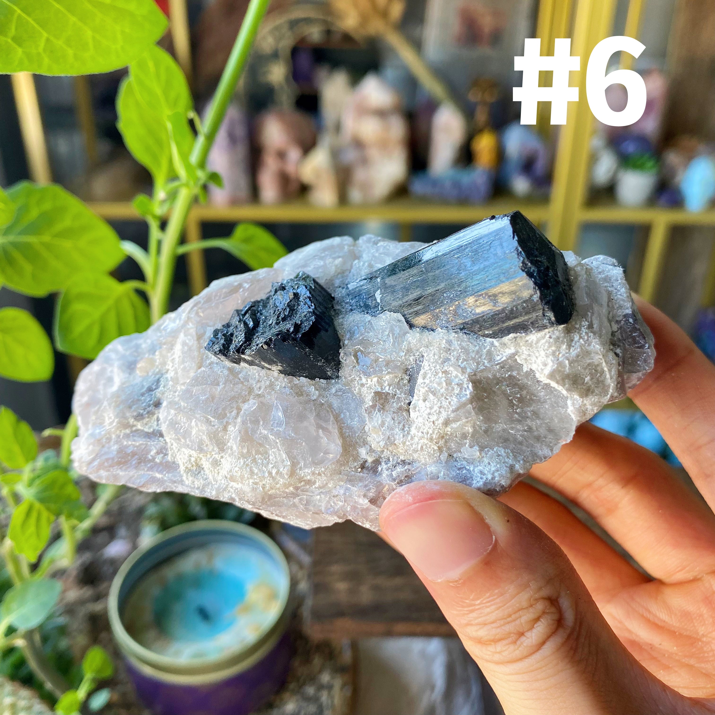 【Weekly Flash Deals】Black Tourmaline With Quartz Specimen