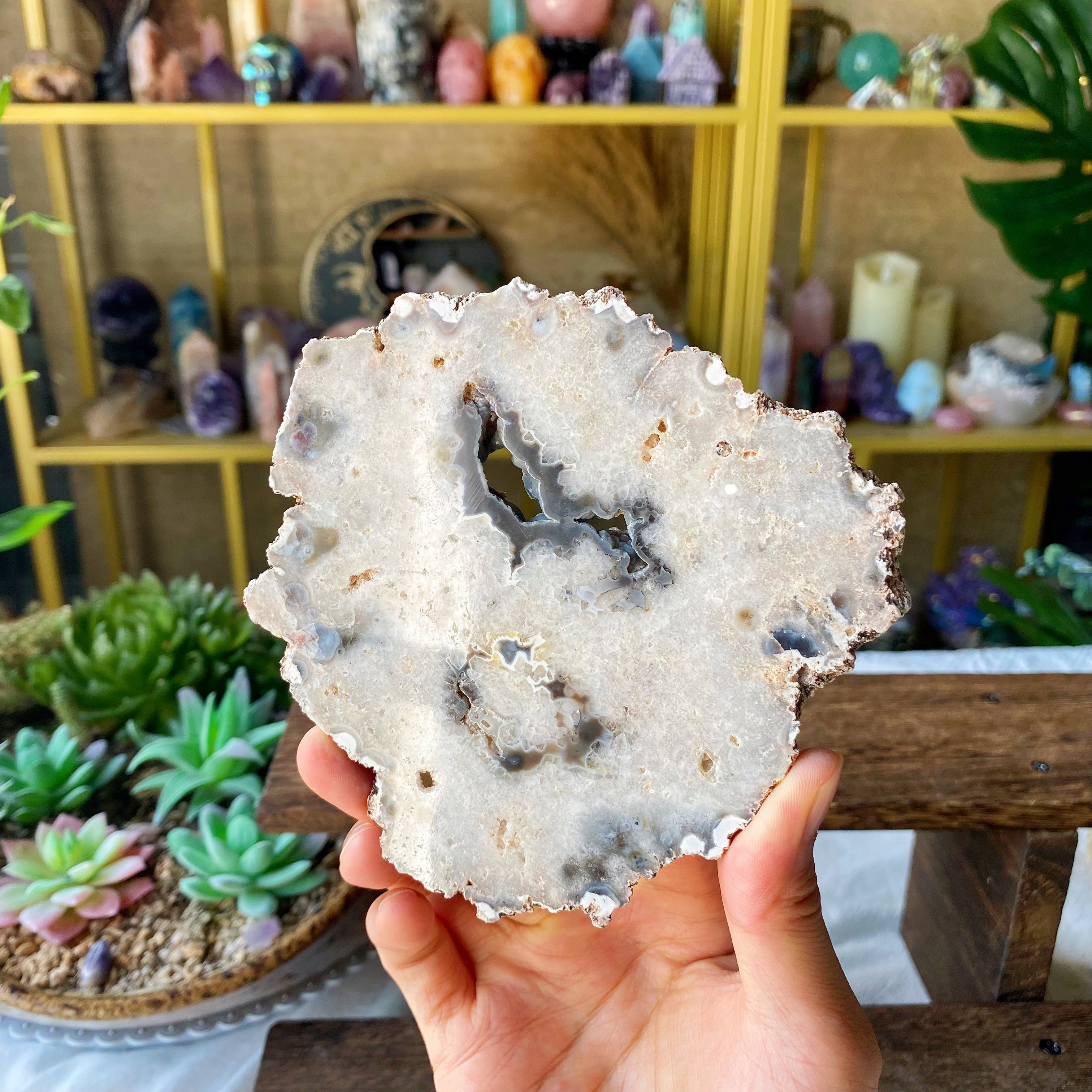 【Weekly Flash Deals】Argentina Flower Agate Slice 2