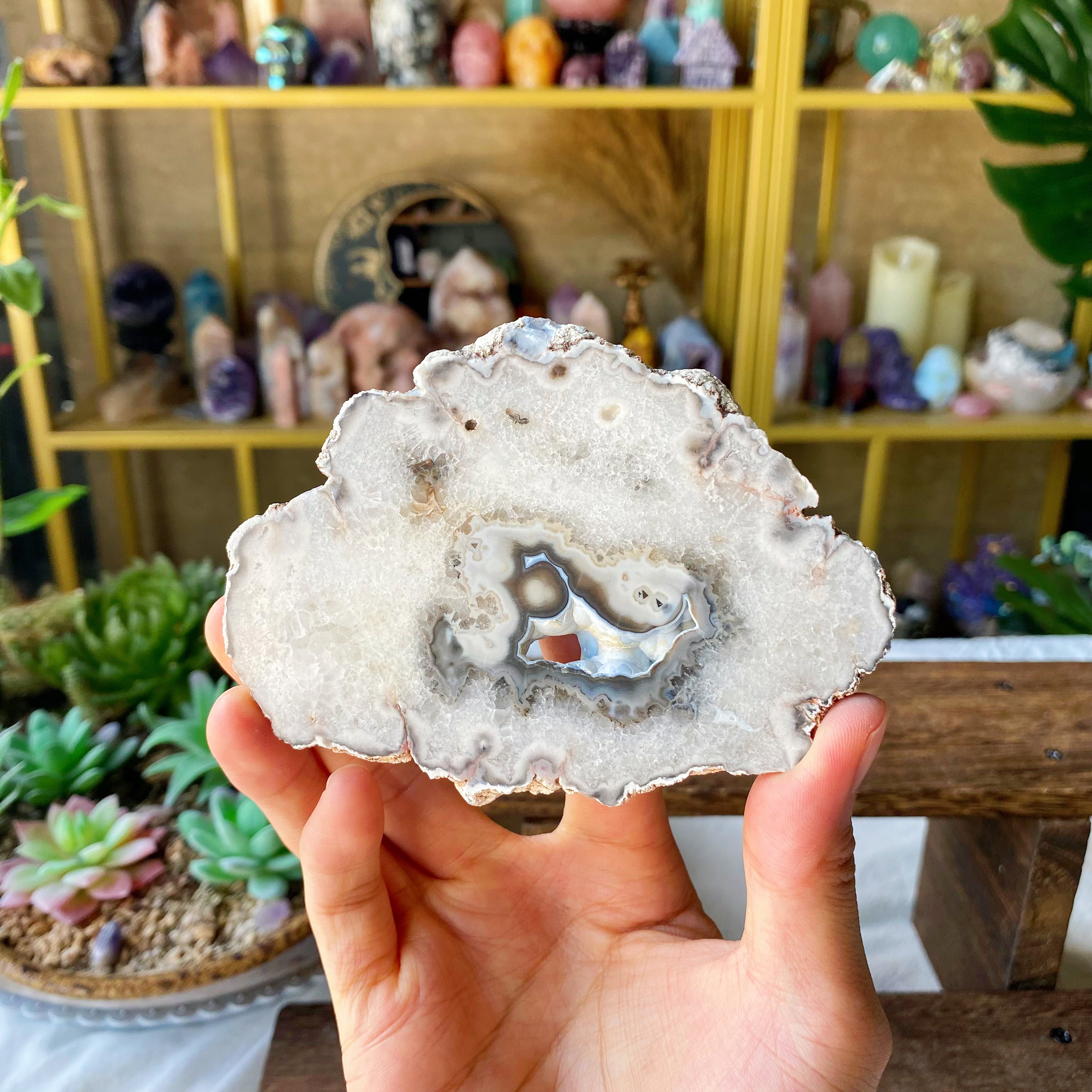 【Weekly Flash Deals】Argentina Flower Agate Slice 2