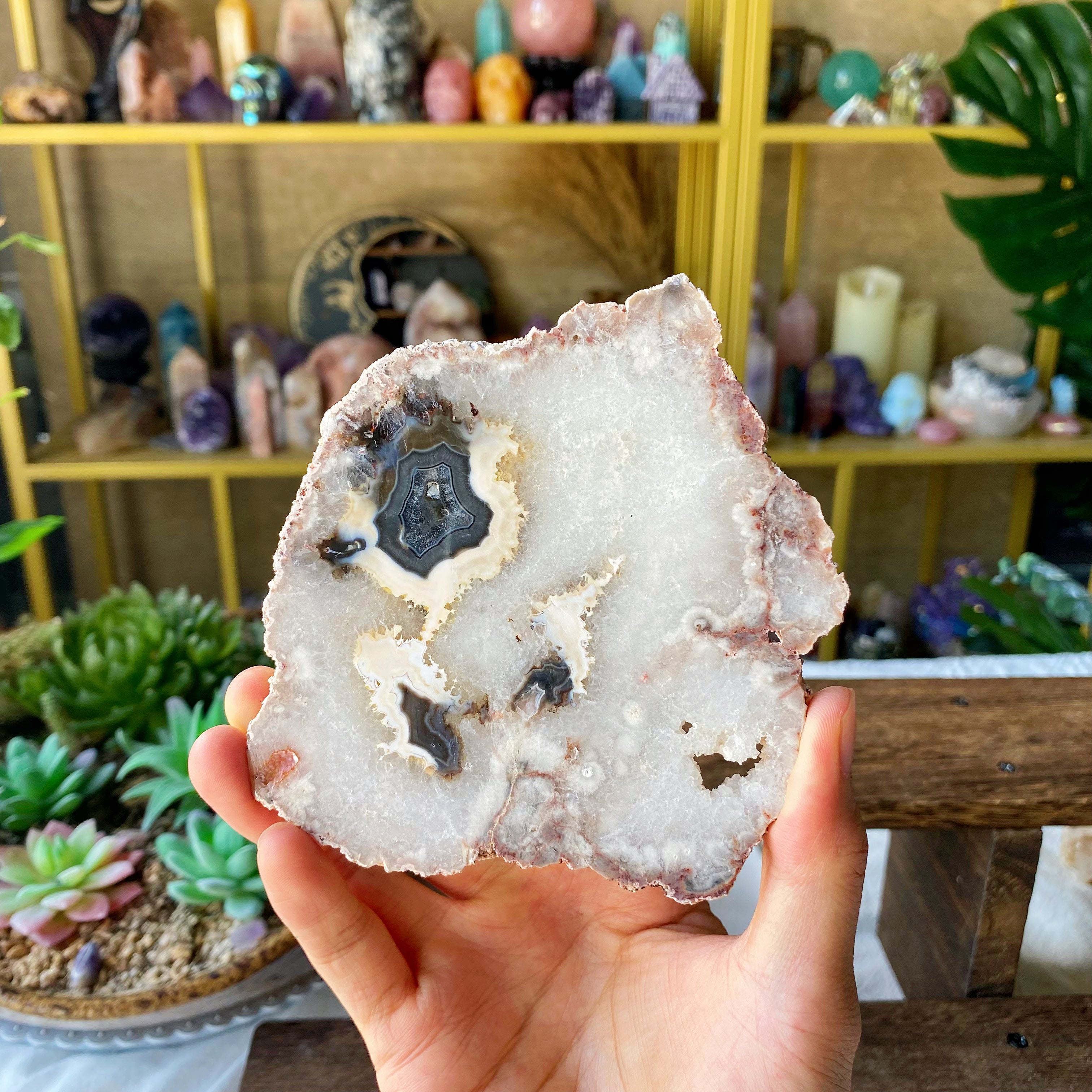 【Weekly Flash Deals】Argentina Flower Agate Slice 2