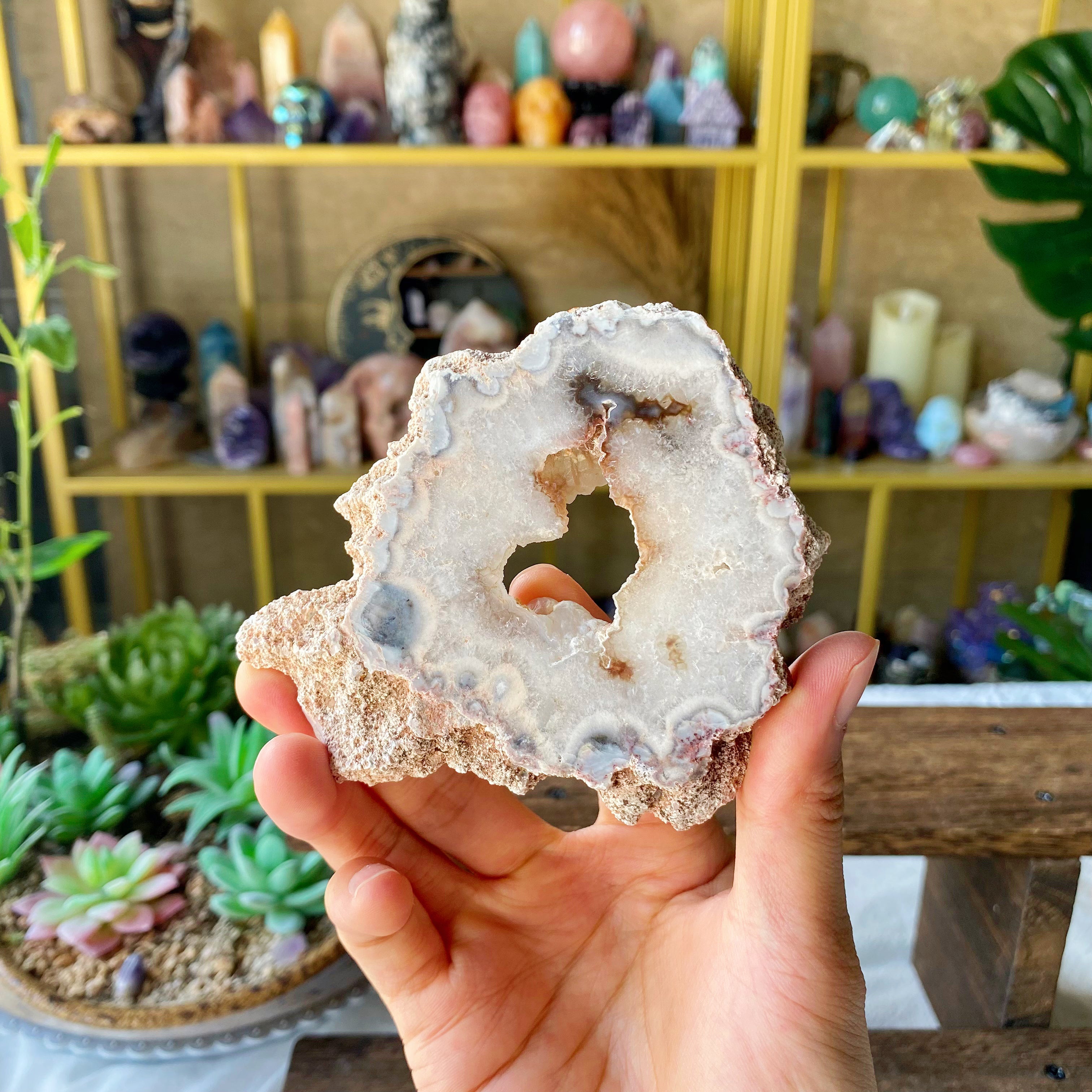 【Weekly Flash Deals】Argentina Flower Agate Slice 2