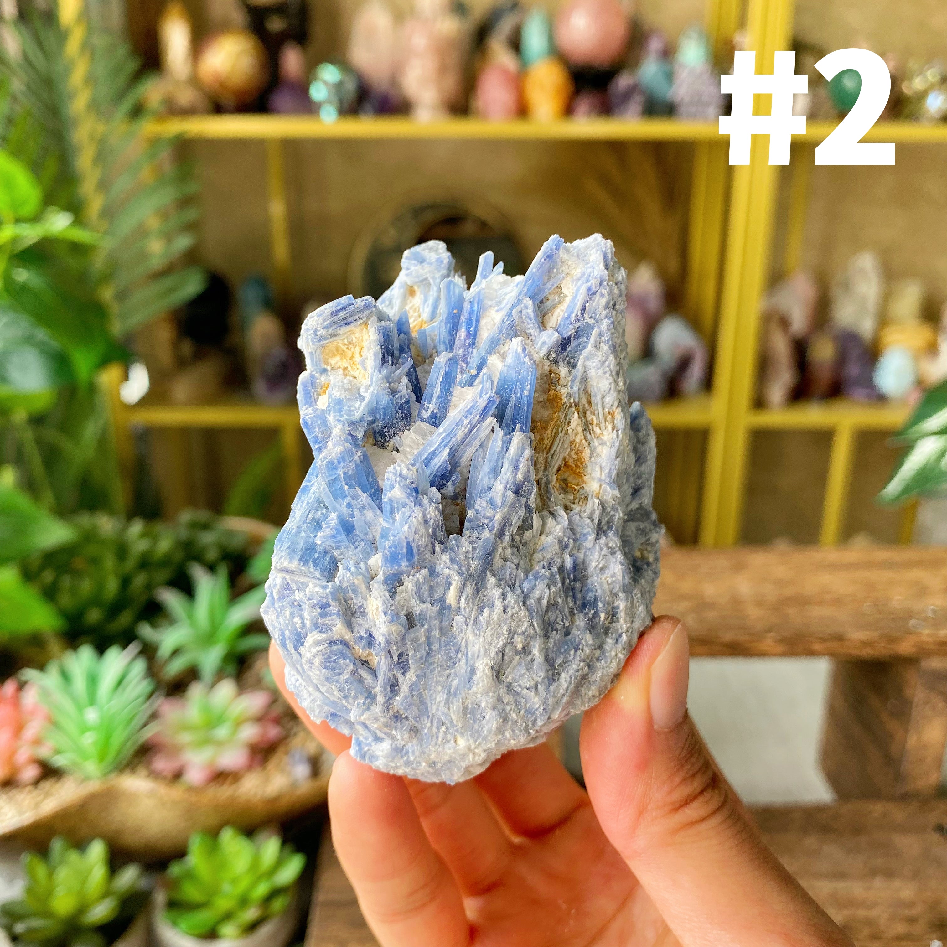 【Weekly Flash Deals】Kyanite Specimen