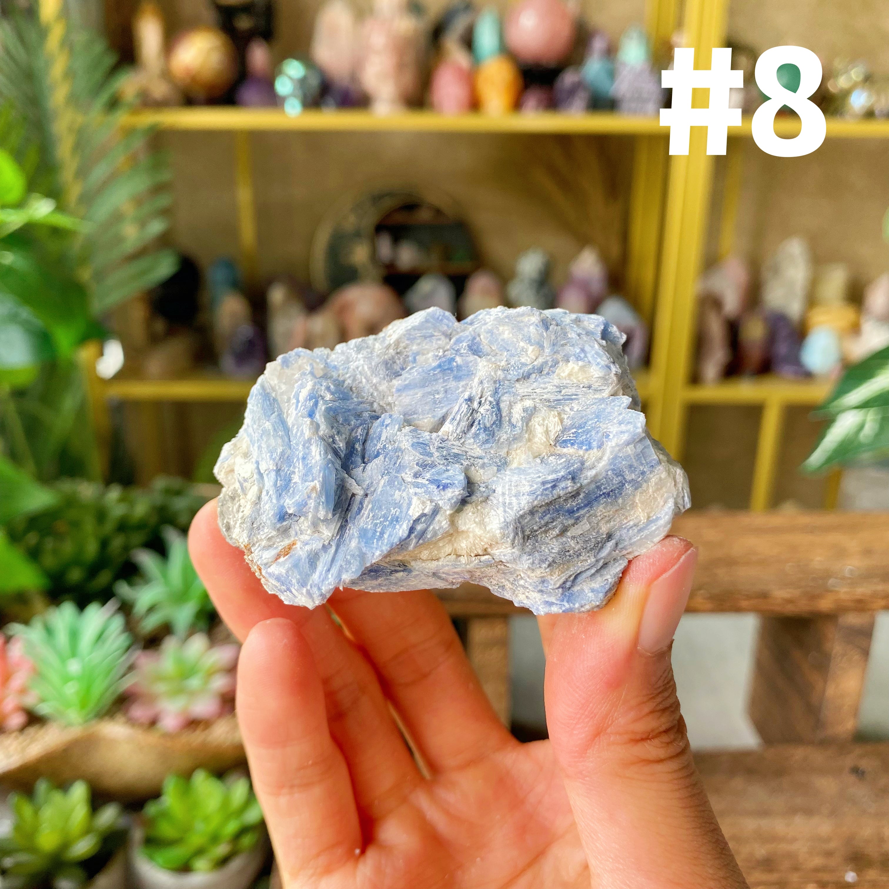 【Weekly Flash Deals】Kyanite Specimen