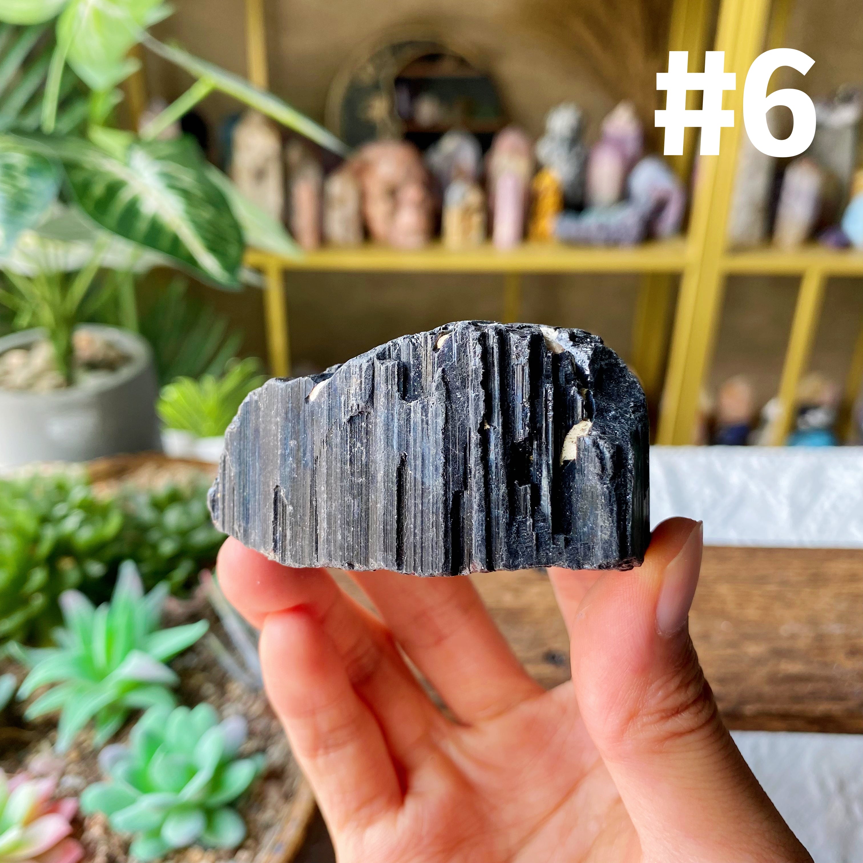 【Weekly Flash Deals】Black Tourmaline Specimen