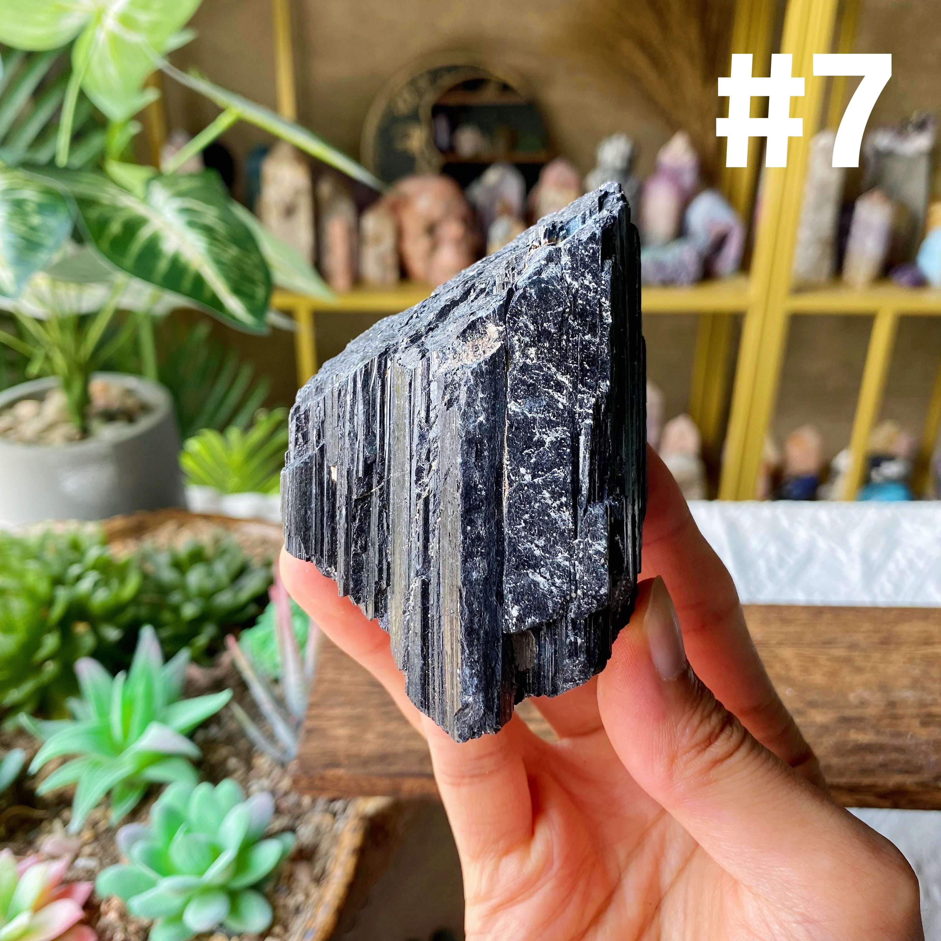 【Weekly Flash Deals】Black Tourmaline Specimen