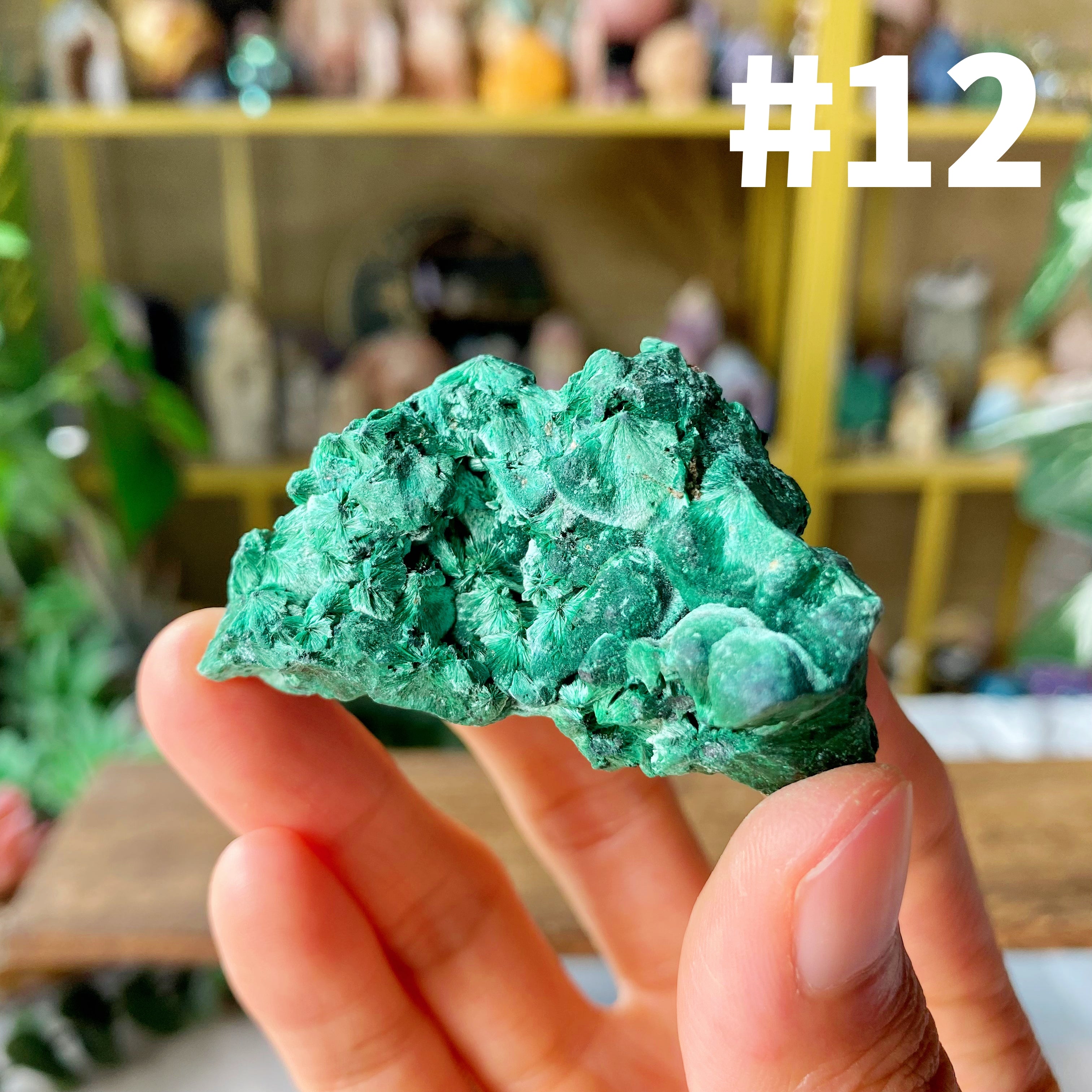 【Weekly Flash Deals】Malachite Specimen 2