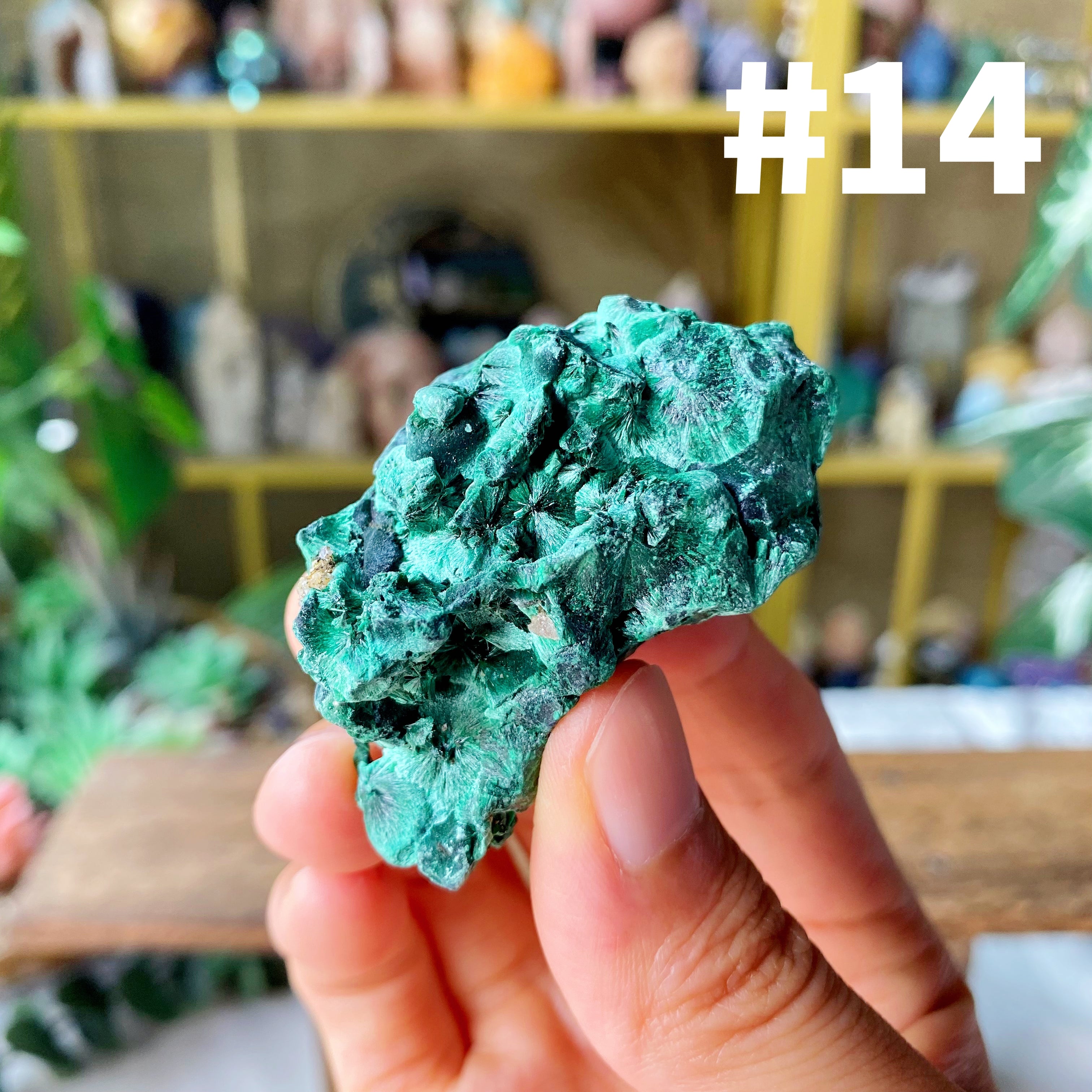 【Weekly Flash Deals】Malachite Specimen 2