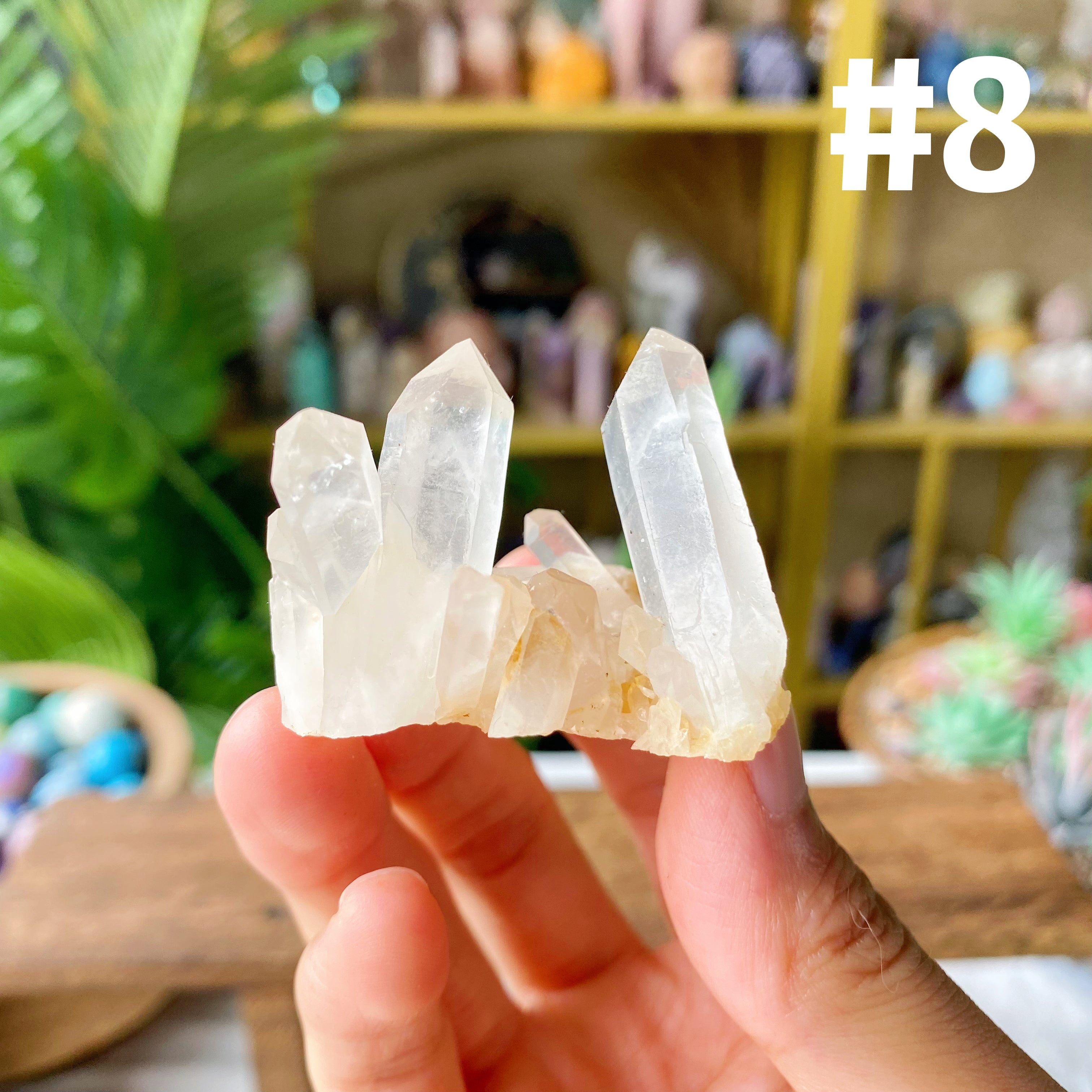 【Weekly Flash Deals】Clear Quartz Cluster 1