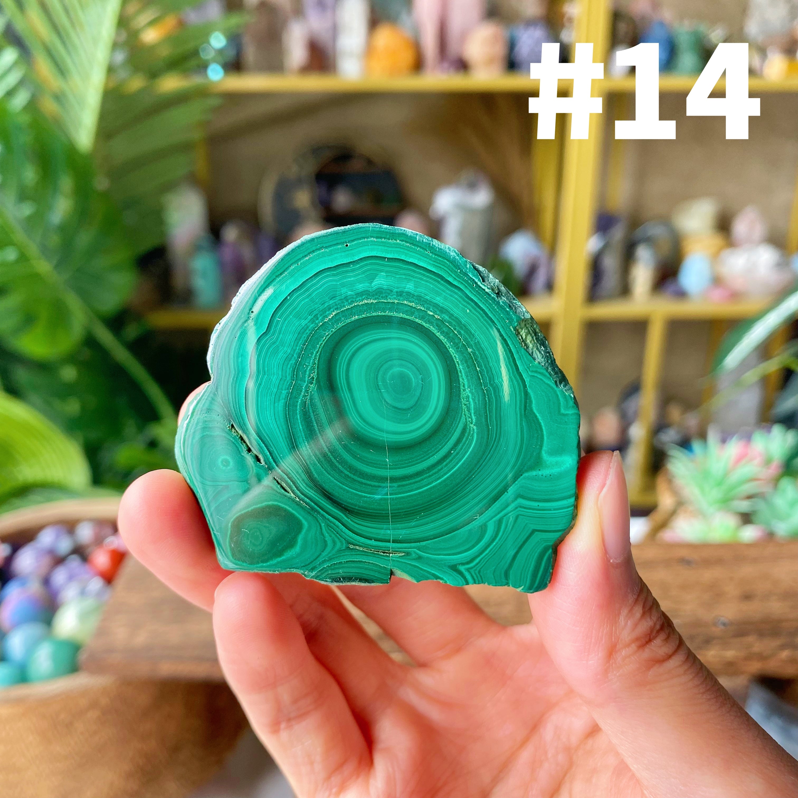 【Weekly Flash Deals】Malachite Slice 2