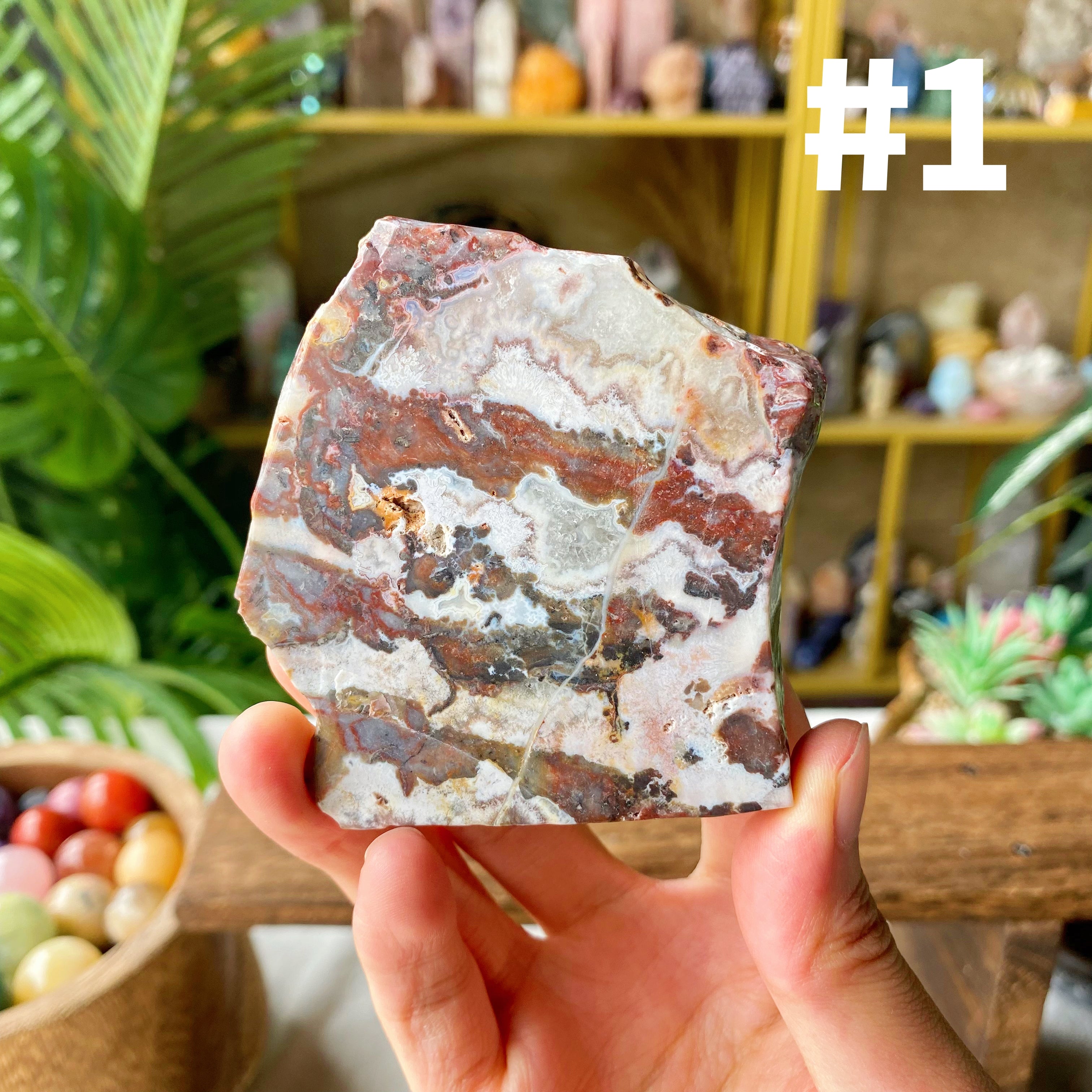 【Weekly Flash Deals】Mexico Sardonyx Slice