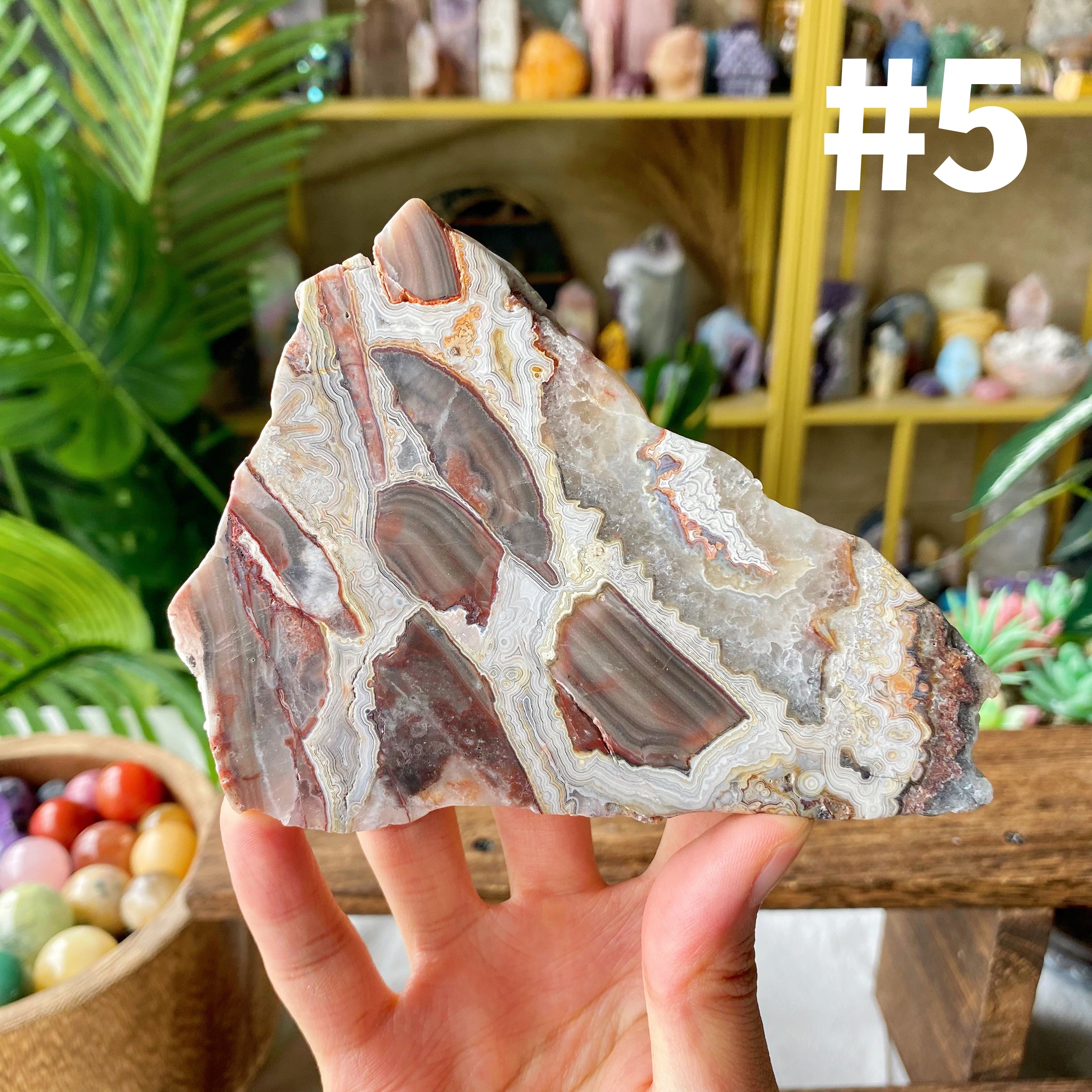 【Weekly Flash Deals】Mexico Sardonyx Slice