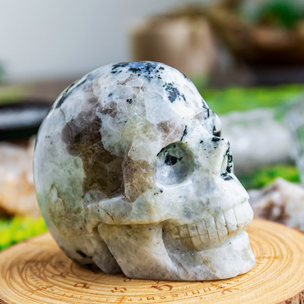 Reikistal Rainbow Moonstone Skull