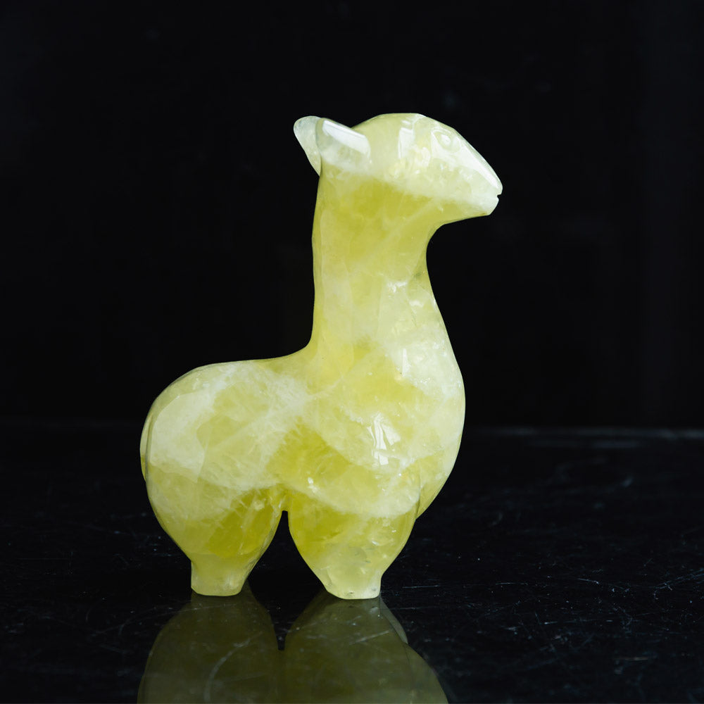 Reikistal Citrine Llama