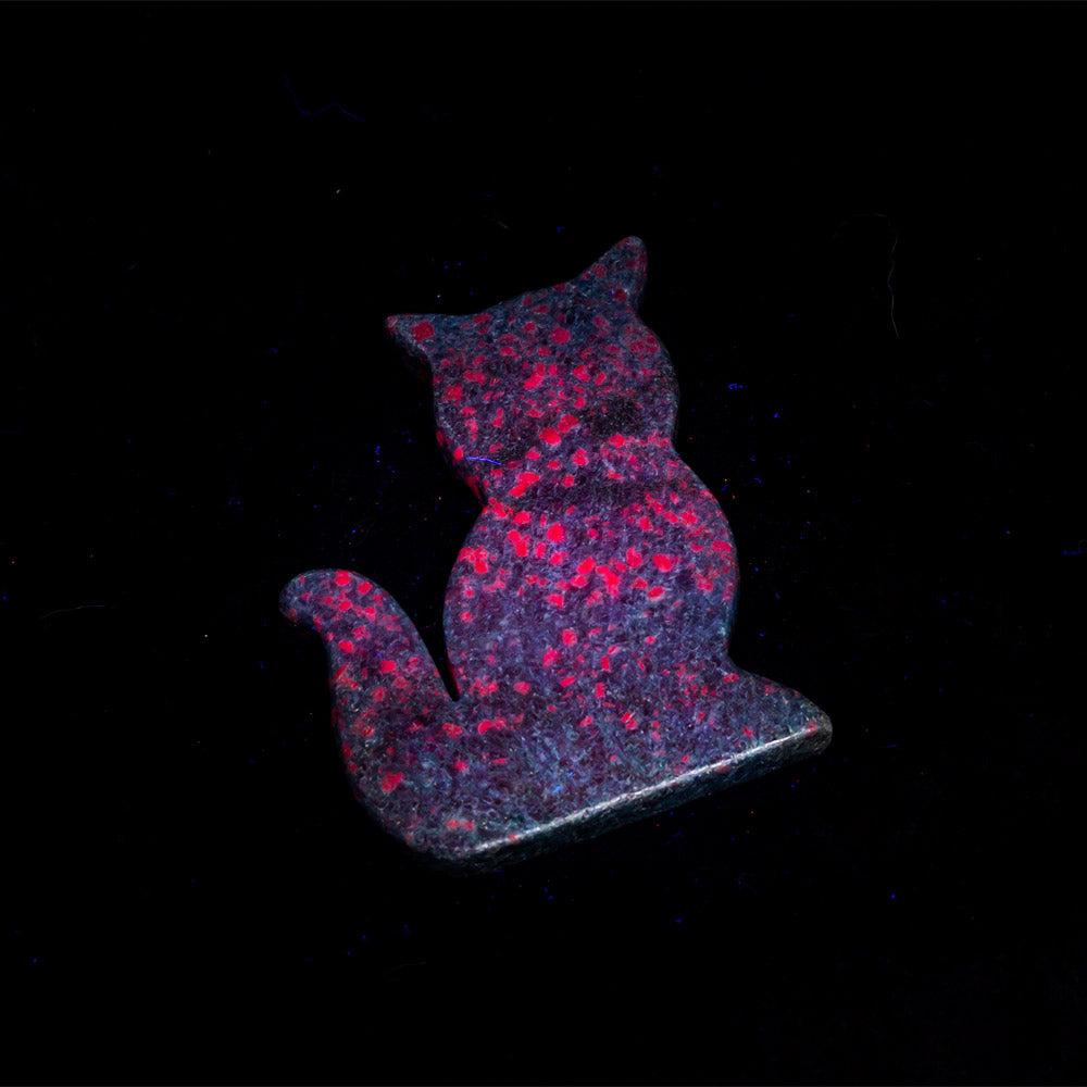 Reikistal Ruby in Kyanite Cat Slice