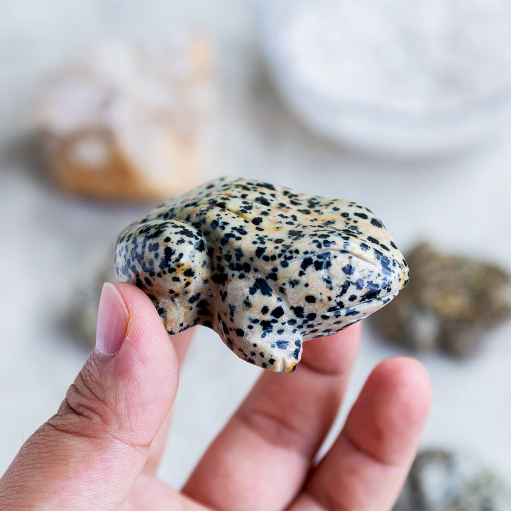 Reikistal Dalmatian Jasper Frog