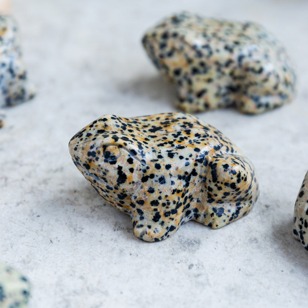 Reikistal Dalmatian Jasper Frog