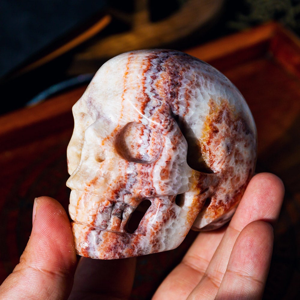 Reikistal Dali Jasper Skull