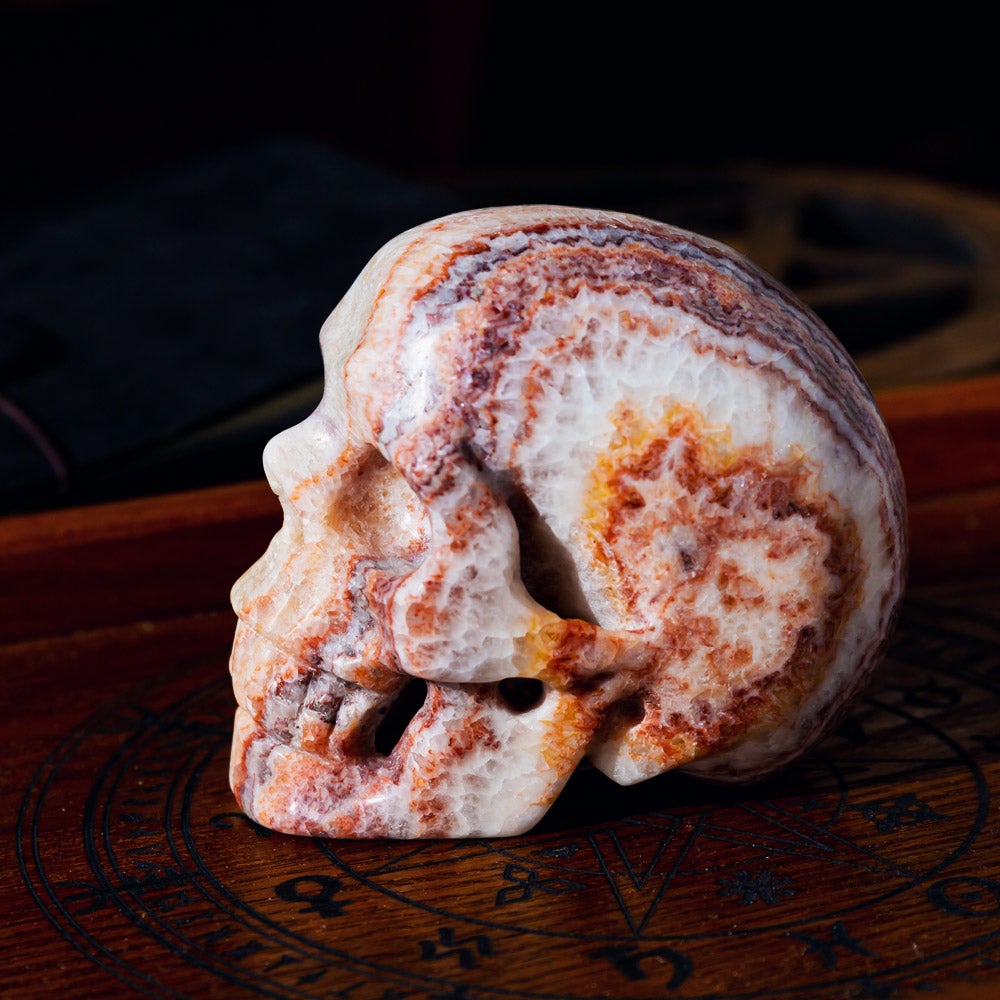 Reikistal Dali Jasper Skull