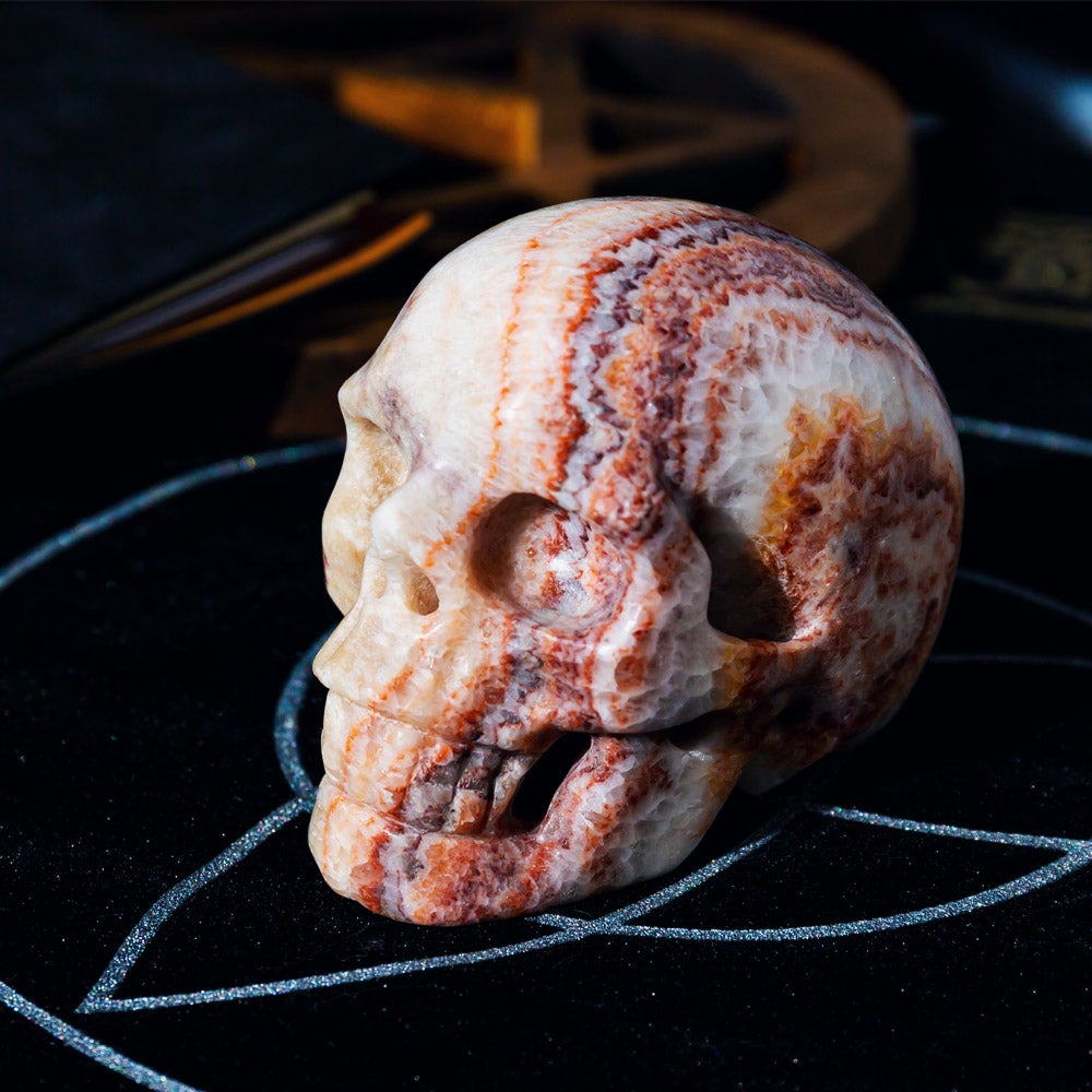 Reikistal Dali Jasper Skull