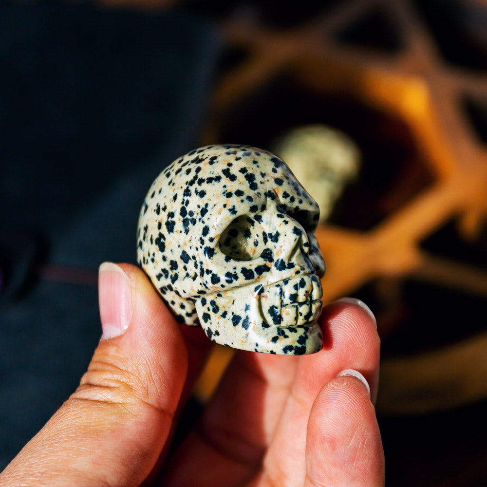 Reikistal 1.5" Dalmatian Jasper Skull