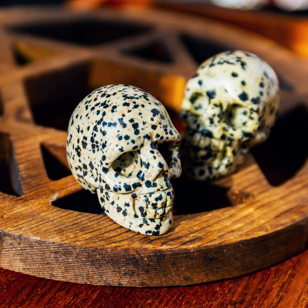 Reikistal 1.5" Dalmatian Jasper Skull