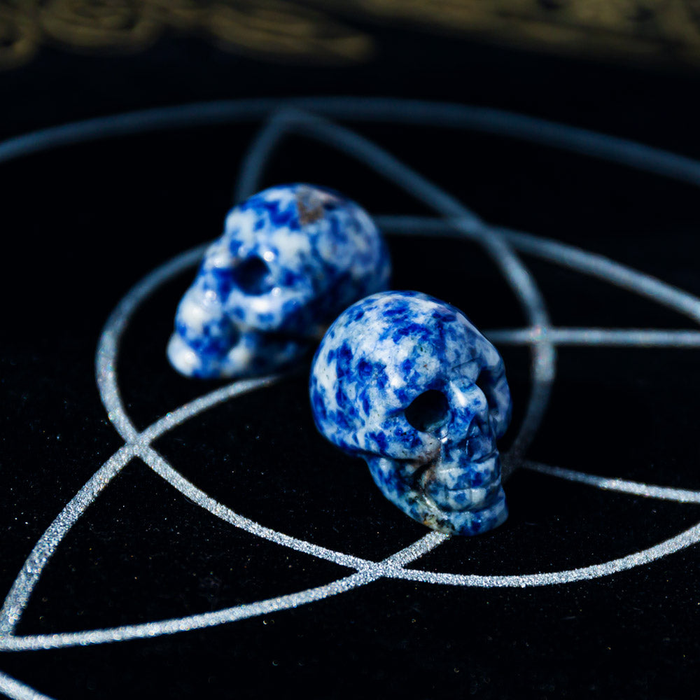 Reikistal 1" Sodalite Skull