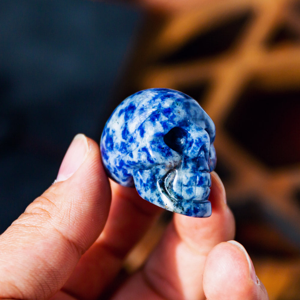 Reikistal 1" Sodalite Skull