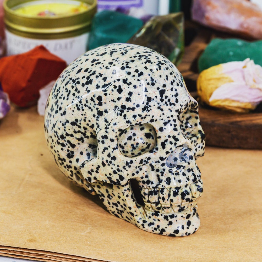 Reikistal Dalmation Jasper Skull