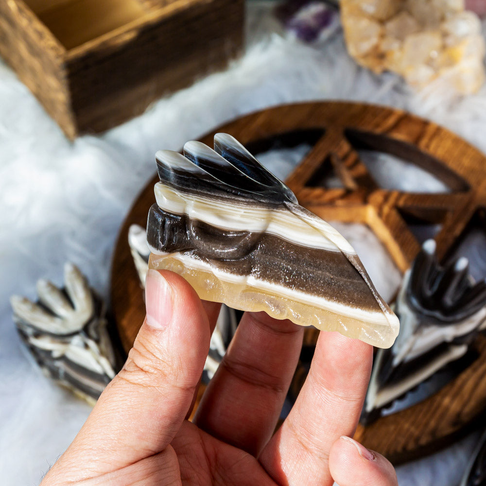 Reikistal Zebra Calcite Eagle Skull