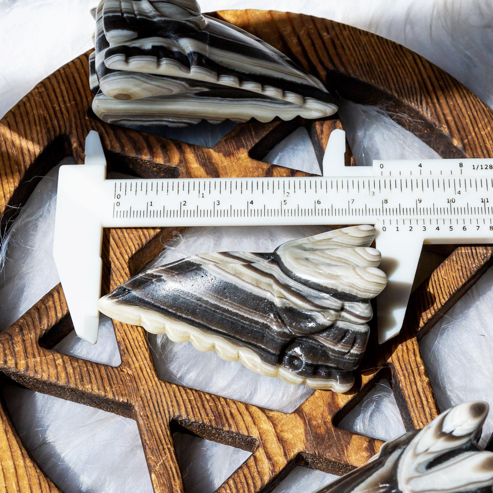 Reikistal Zebra Calcite Eagle Skull