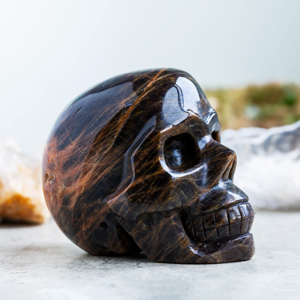 Reikistal Black MoonStone Skull