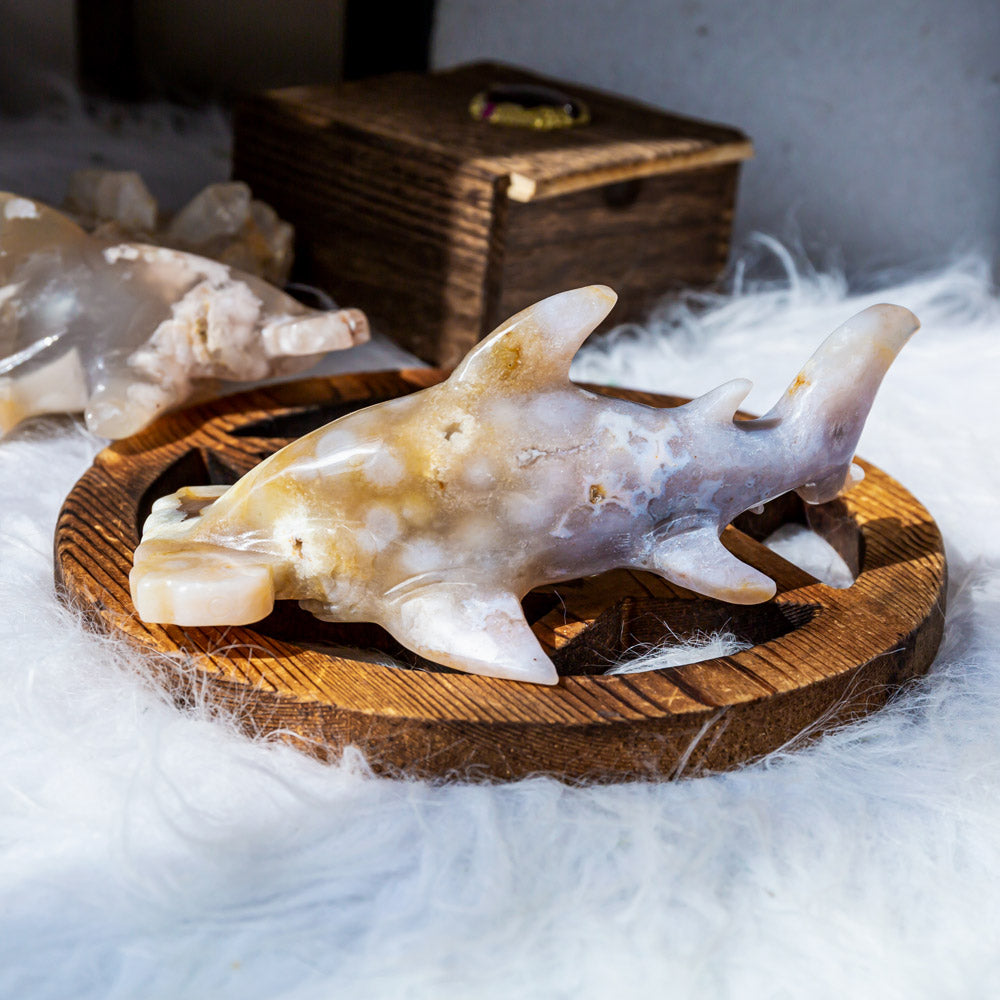 Reikistal Flower Agate Shark