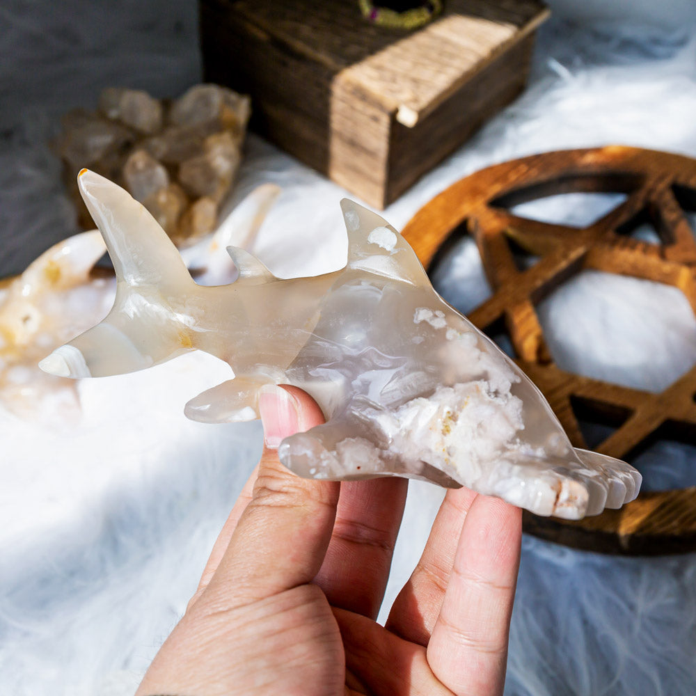 Reikistal Flower Agate Shark